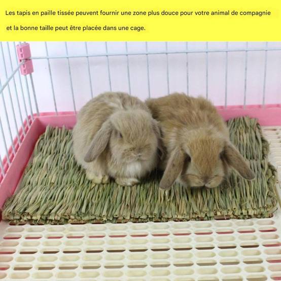 Tapis d'herbe pour lapin, hamster, cochon, perroquet DtopbuyAge - Image 2