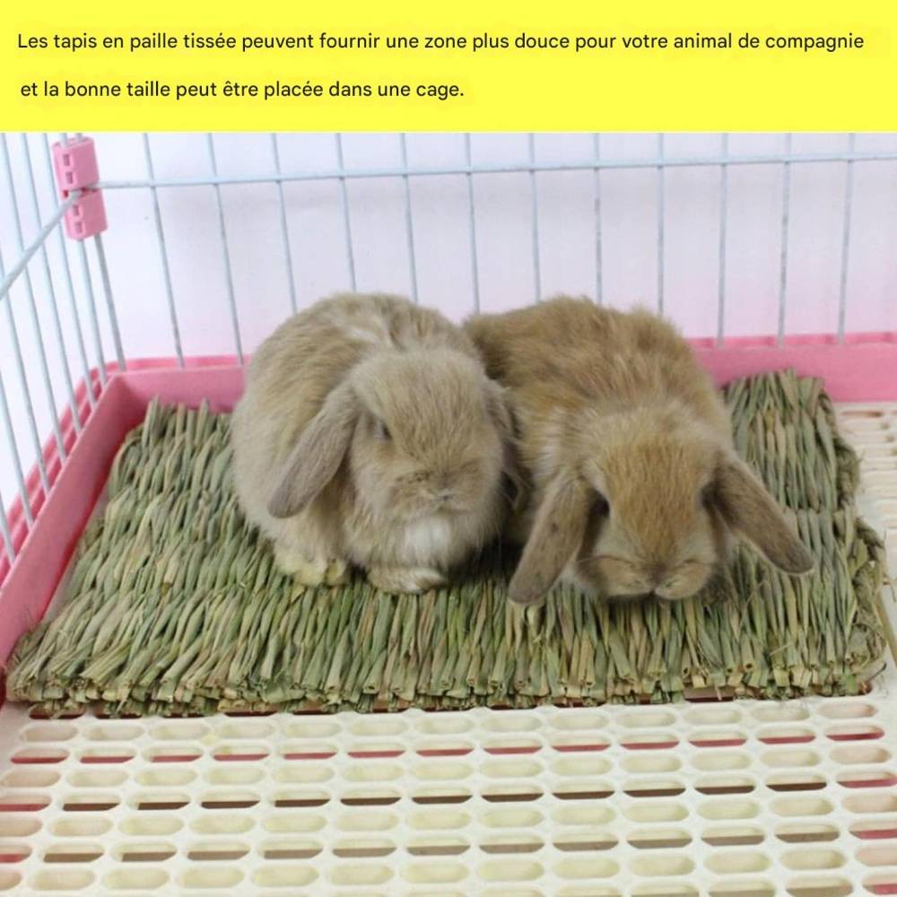 Tapis d'herbe pour lapin, hamster, cochon, perroquet DtopbuyAge - Image 2
