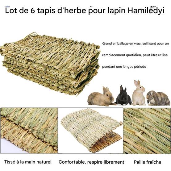 Tapis d'herbe pour lapin, hamster, cochon, perroquet DtopbuyAge - Image 3
