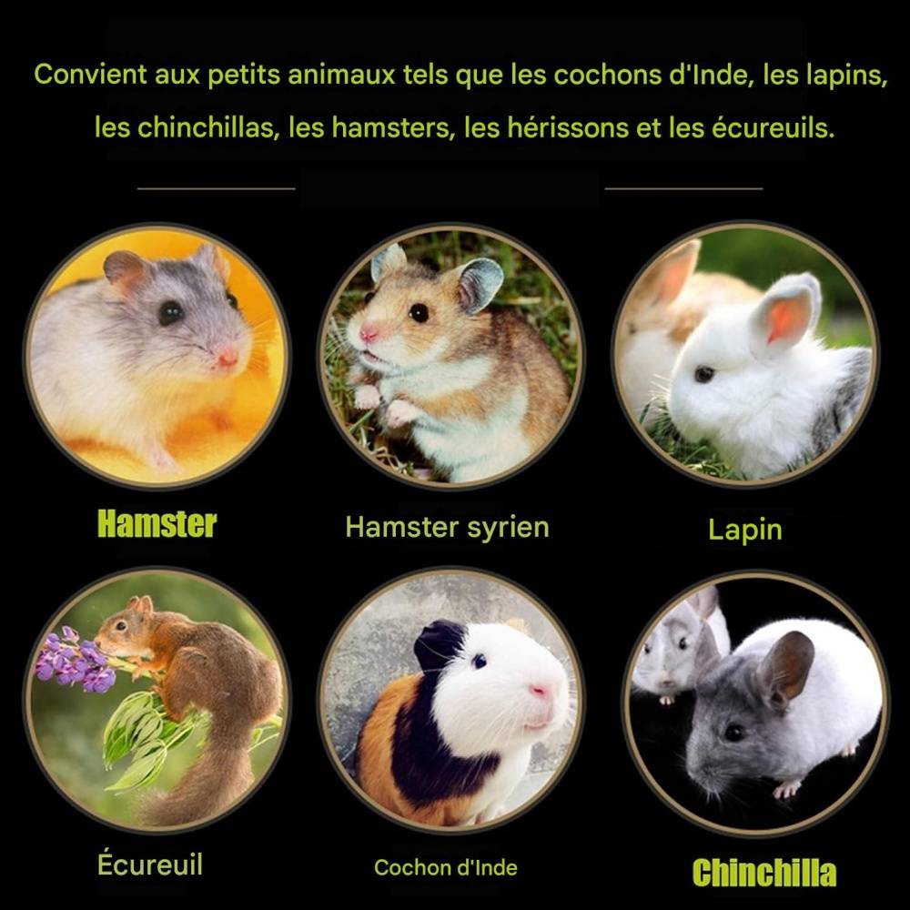 Tapis d'herbe pour lapin, hamster, cochon, perroquet DtopbuyAge - Image 4