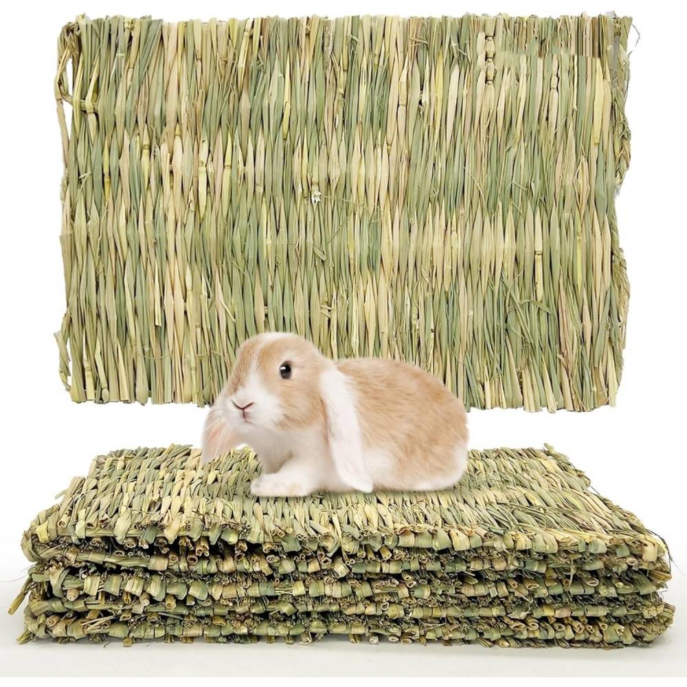 Tapis d'herbe pour lapin, hamster, cochon, perroquet DtopbuyAge - Image 1