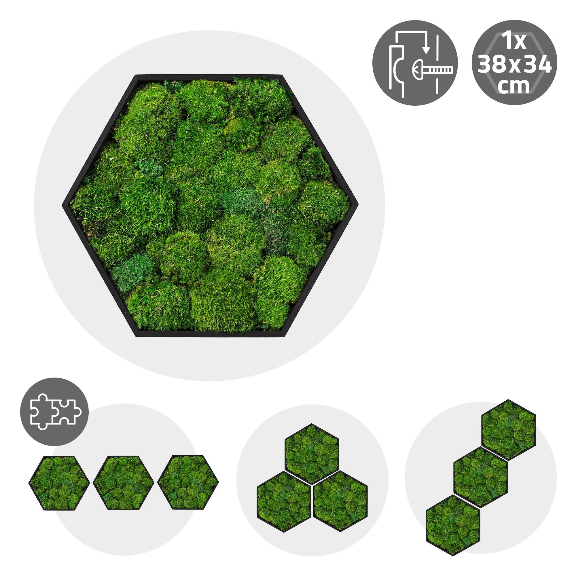 Ecd-Germany - Tableau en mousse boule stabilisée, hexagonal, 38 x 34 cm, vert, décoration murale végétale d'intérieur, cadre en bois, sans arrosage ni entretien - Image 10
