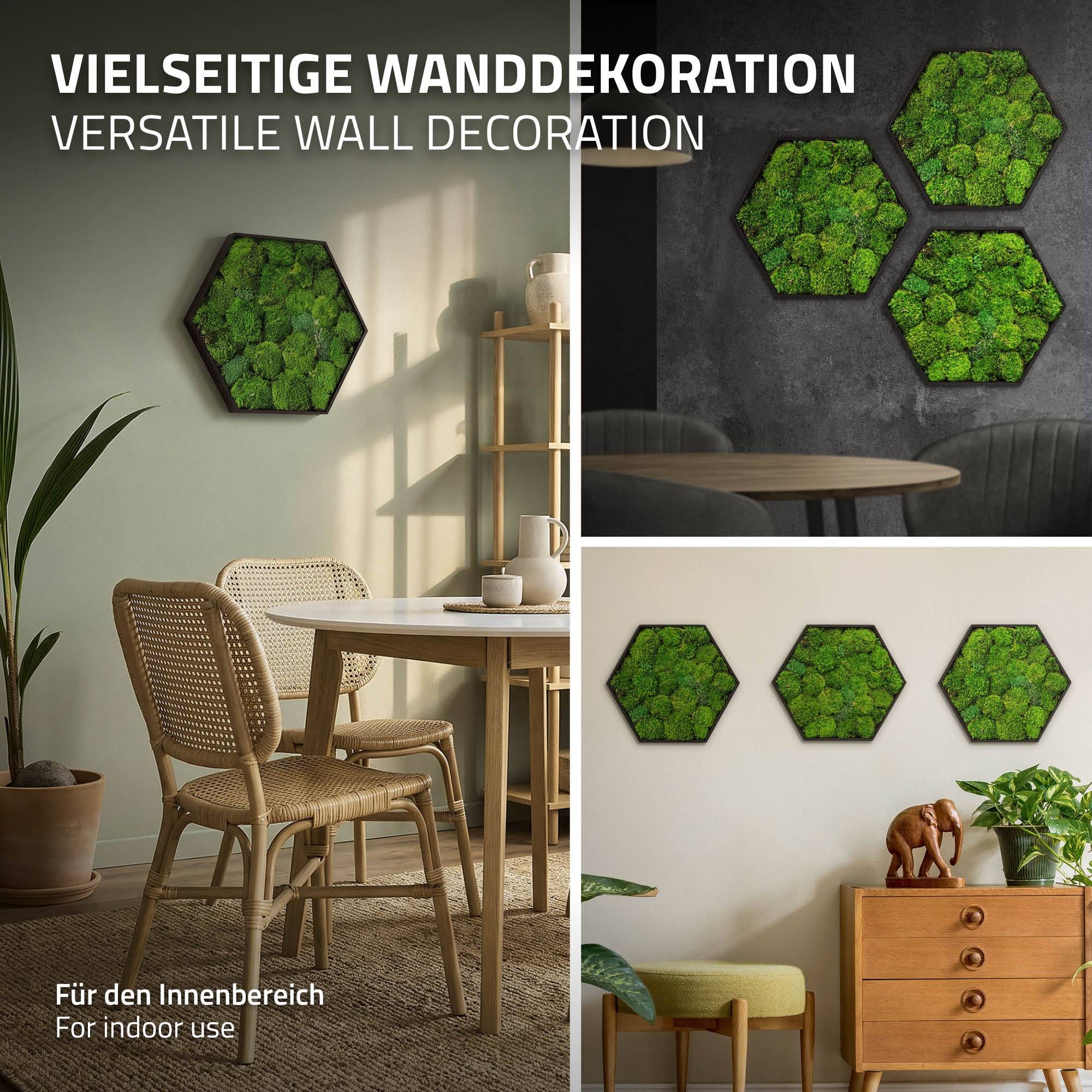 Ecd-Germany - Tableau en mousse boule stabilisée, hexagonal, 38 x 34 cm, vert, décoration murale végétale d'intérieur, cadre en bois, sans arrosage ni entretien - Image 5