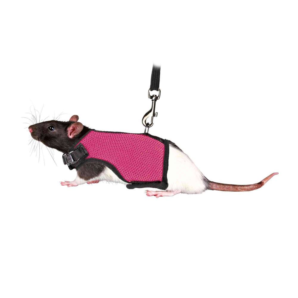 Harnais doux avec laisse 1,2 m , pour rats couleur aléatoire - Image 1