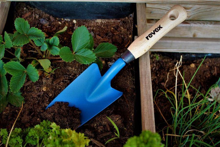 Transplantoir REVEX manche bois - 552122 - Image 2