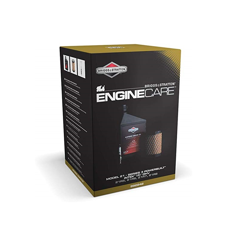 Kit entretien moteur Briggs et Stratton - 992242 - Gamm vert