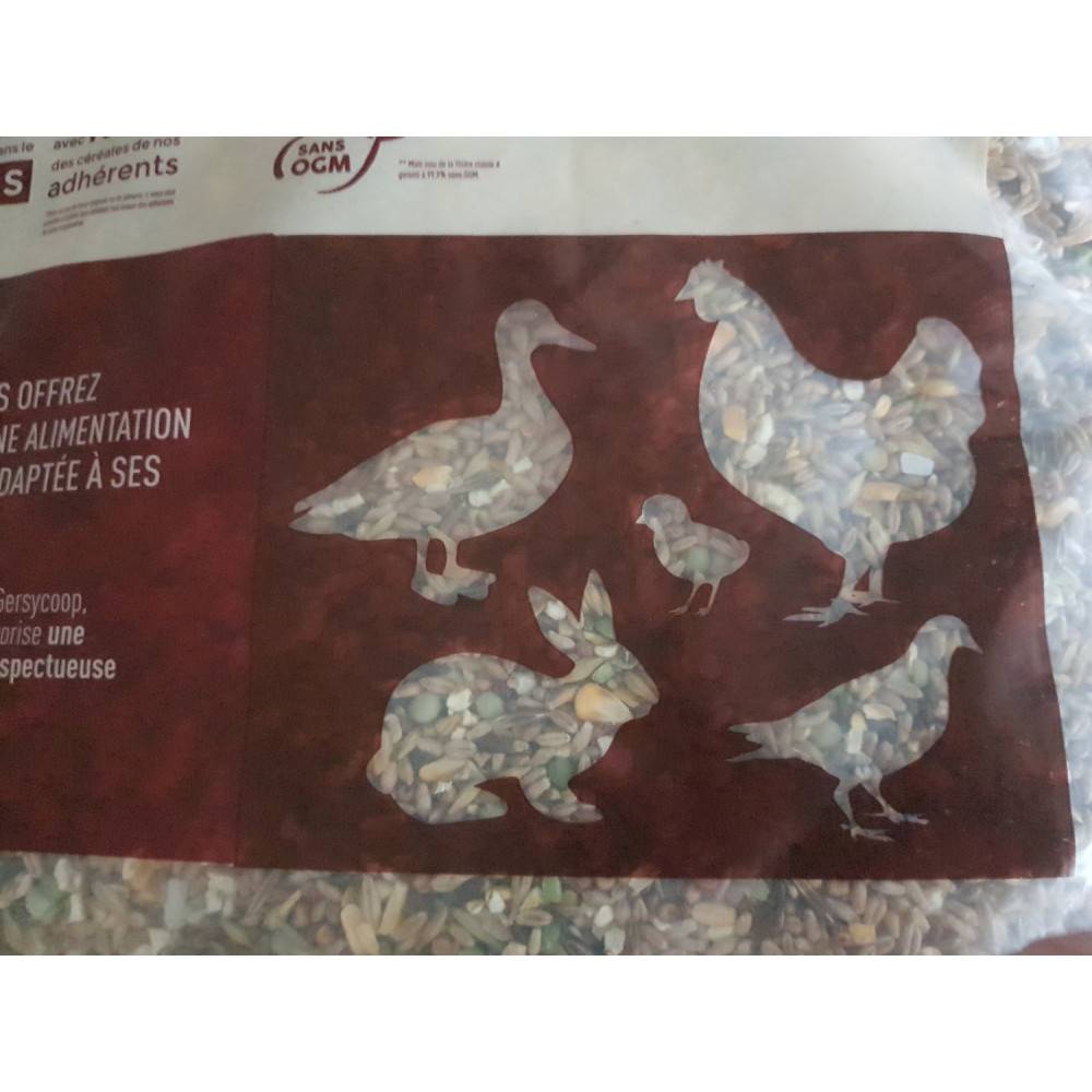 Gasco - Gasco - Mélange graines pour poules pondeuses 20 kg basse cour - Image 3