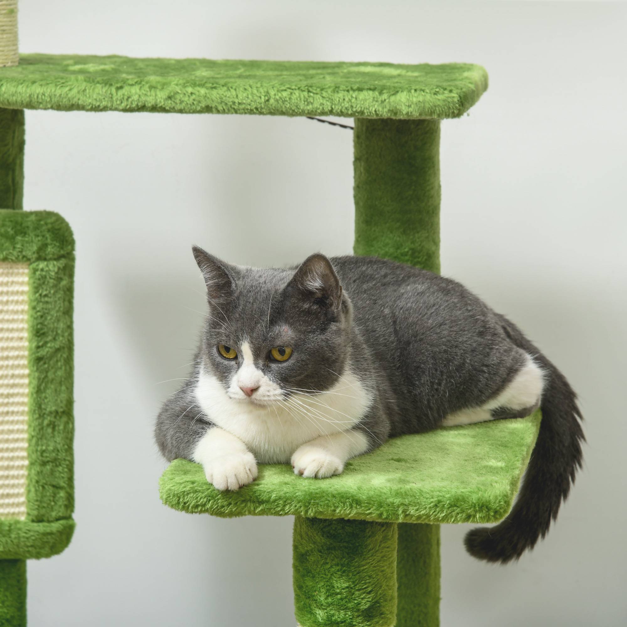 Arbre à chat multiniveaux bois peluche avec hamac grattoir sisal 49x49x142cm vert - ComfortXL Outdoor Living - Image 10