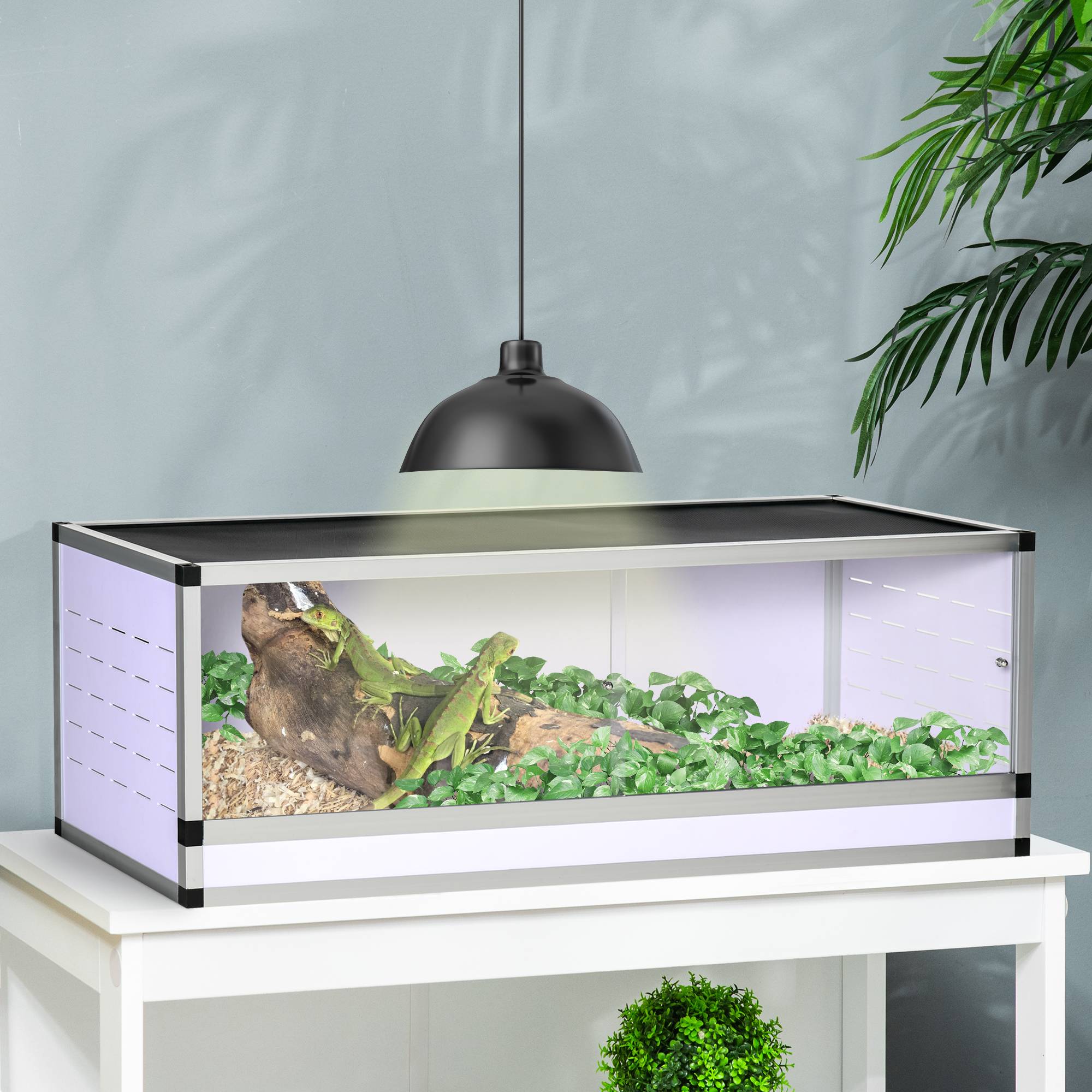 Terrarium acrylique boîte nourrissage 120×40×40cm, amphibiens, insectes, escargots, araignées sauteuses - Image 4
