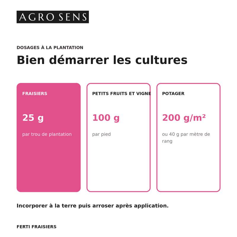 Ferti Fraisiers - Engrais pour fraisiers, vignes et petits fruits - Seau 8 kg - Image 4