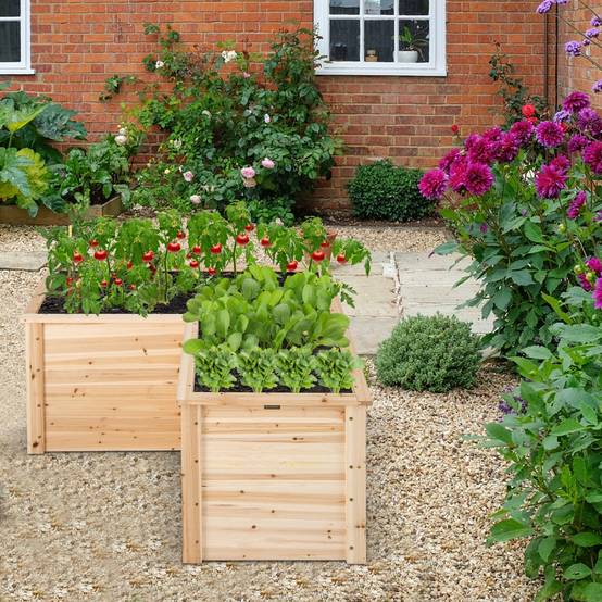 Carré Potager Jardinière en Bois de Sapin 120x120x63 CM Bac à Fleurs avec Base Ouverte en L pour Légumes Fruits et Herbes - Image 3