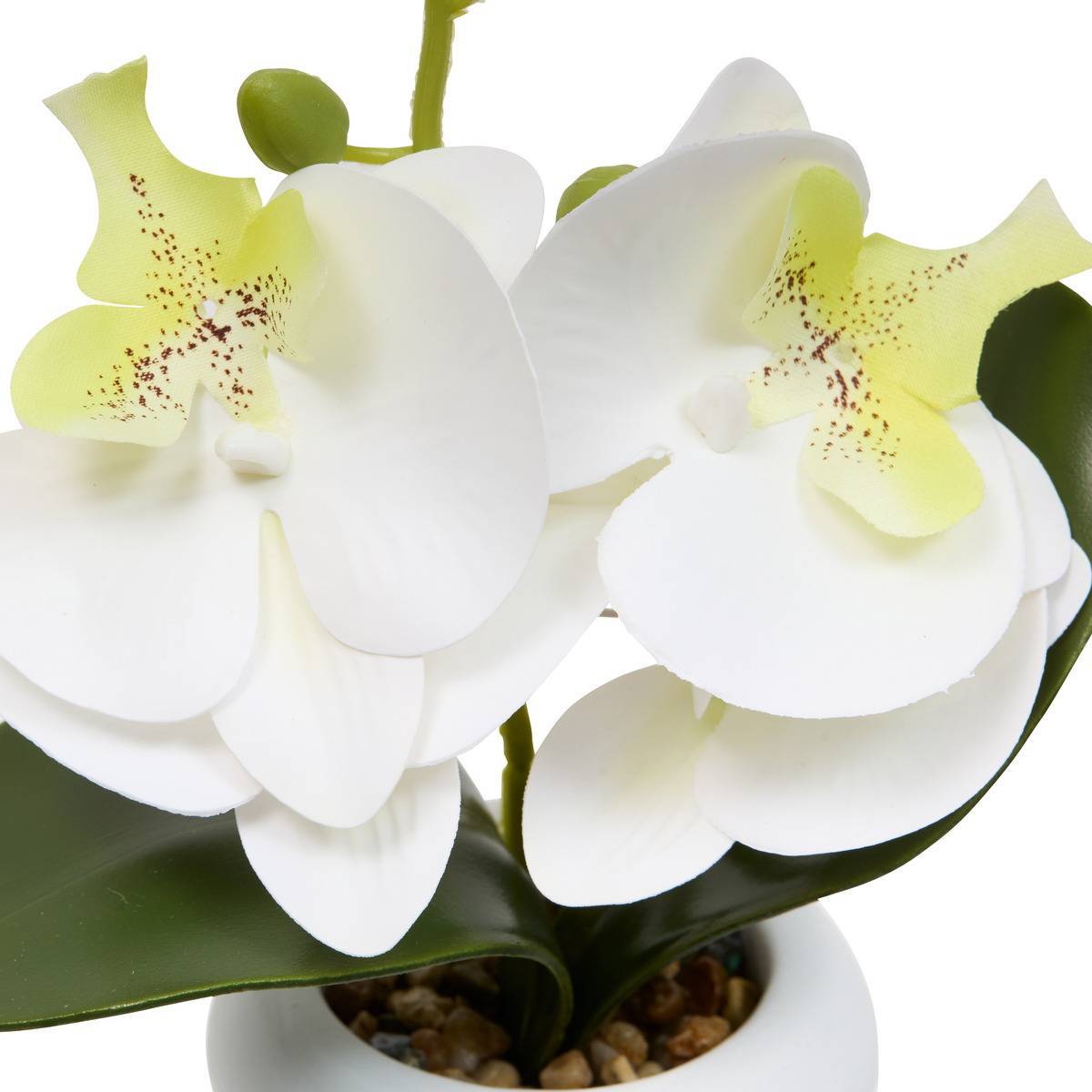 Atmosphera - Fleur Artificielle Mick Orchidée H 23 cm - Atmosphera Créateur d'intérieur - Image 4