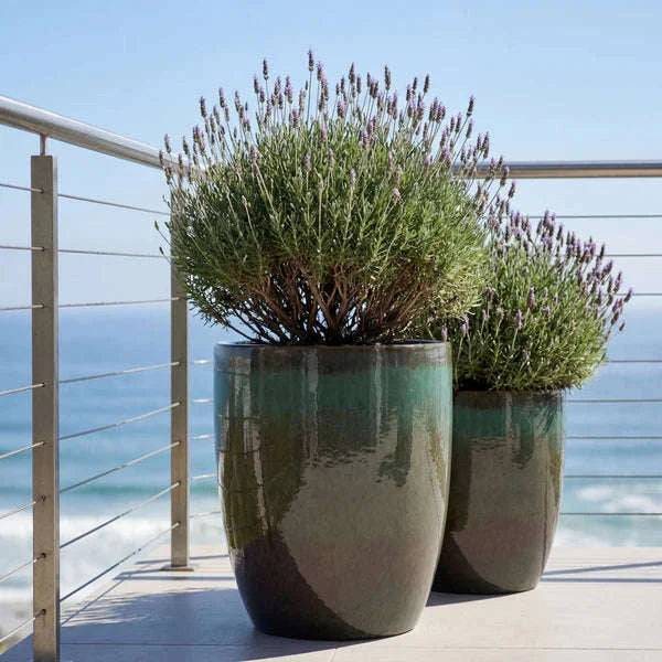 Provencelia - Pot MAZARIN2 37x49cm vert brumeux - Image 3