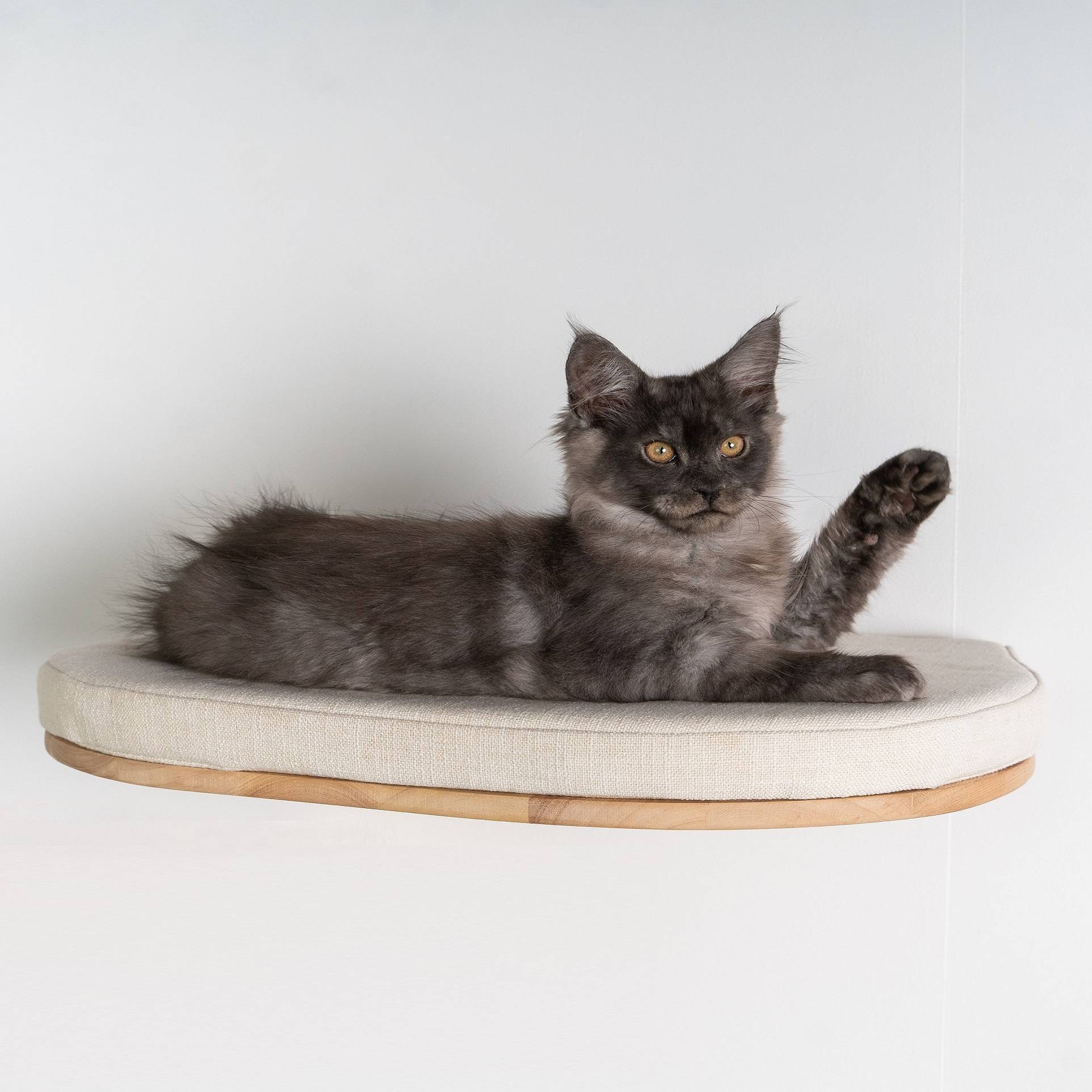 Rhr Concepts Bv - Mur d’escalade pour chat - Luxueux lit mural pour chat (beige) - RHR Concepts BV - Image 2