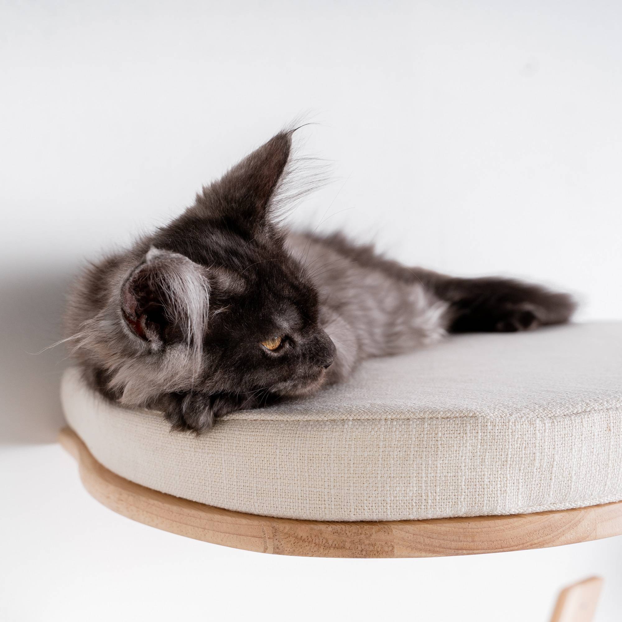 Rhr Concepts Bv - Mur d’escalade pour chat - Luxueux lit mural pour chat (beige) - RHR Concepts BV - Image 3