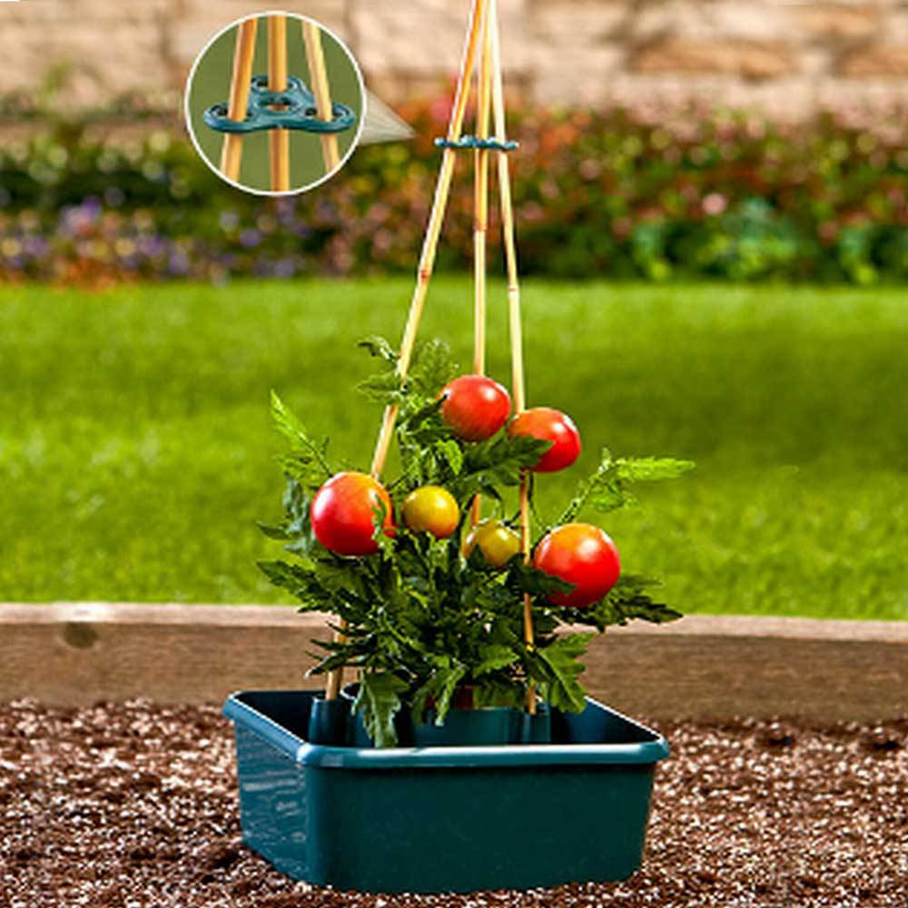Réservoir pour tomates avec socle à tuteur - Image 4