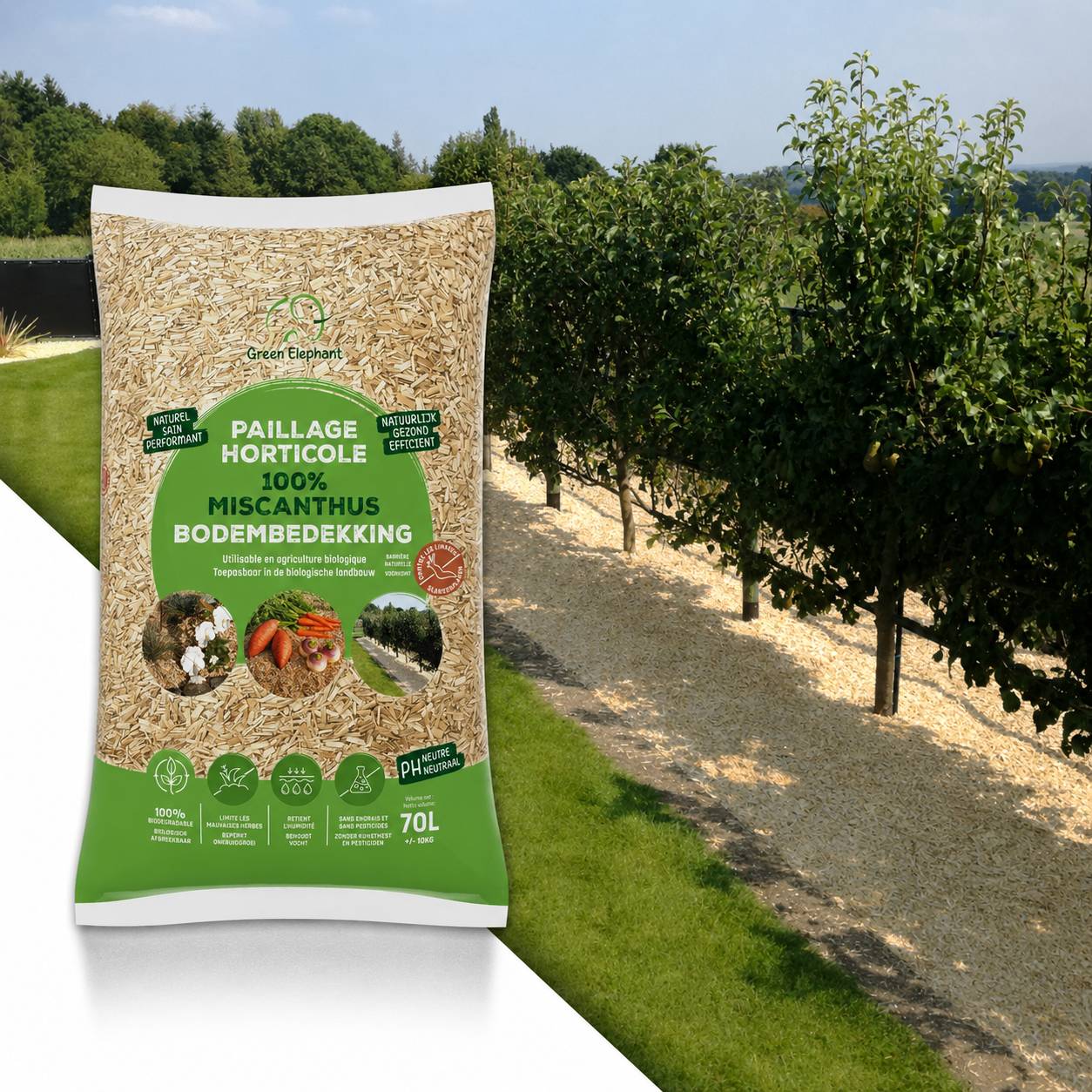 Sans Marque - Paillage horticole de Miscanthus  pour le jardin et le potager - 10kg - Image 1
