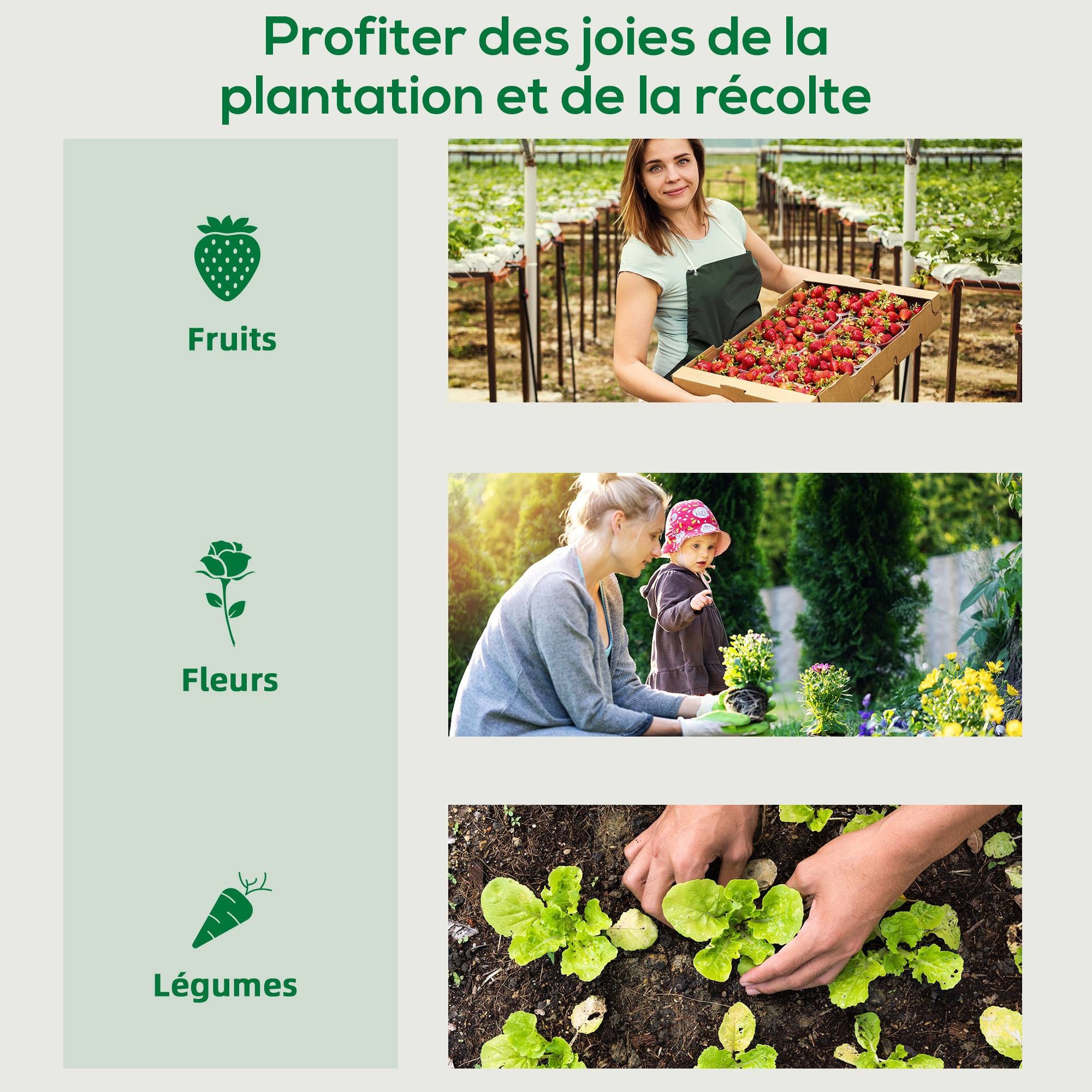 Sans Marque - Serre jardin UV 200x77x169 cm acier PE 2 fenêtres moustiquaires barres renfort serre potager verte - Image 9
