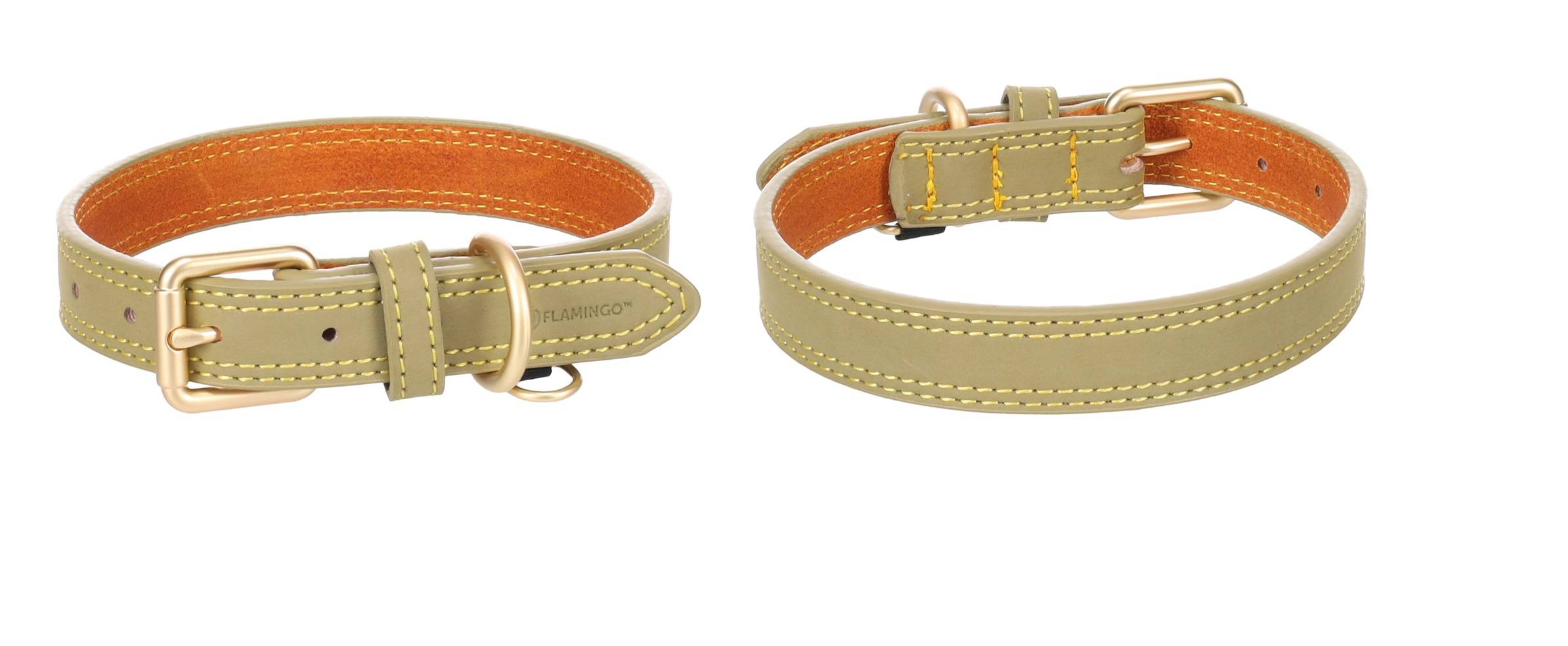 Eden - Collier pour chien Virginia en cuir L 43-53cm 25mm vert - Image 4