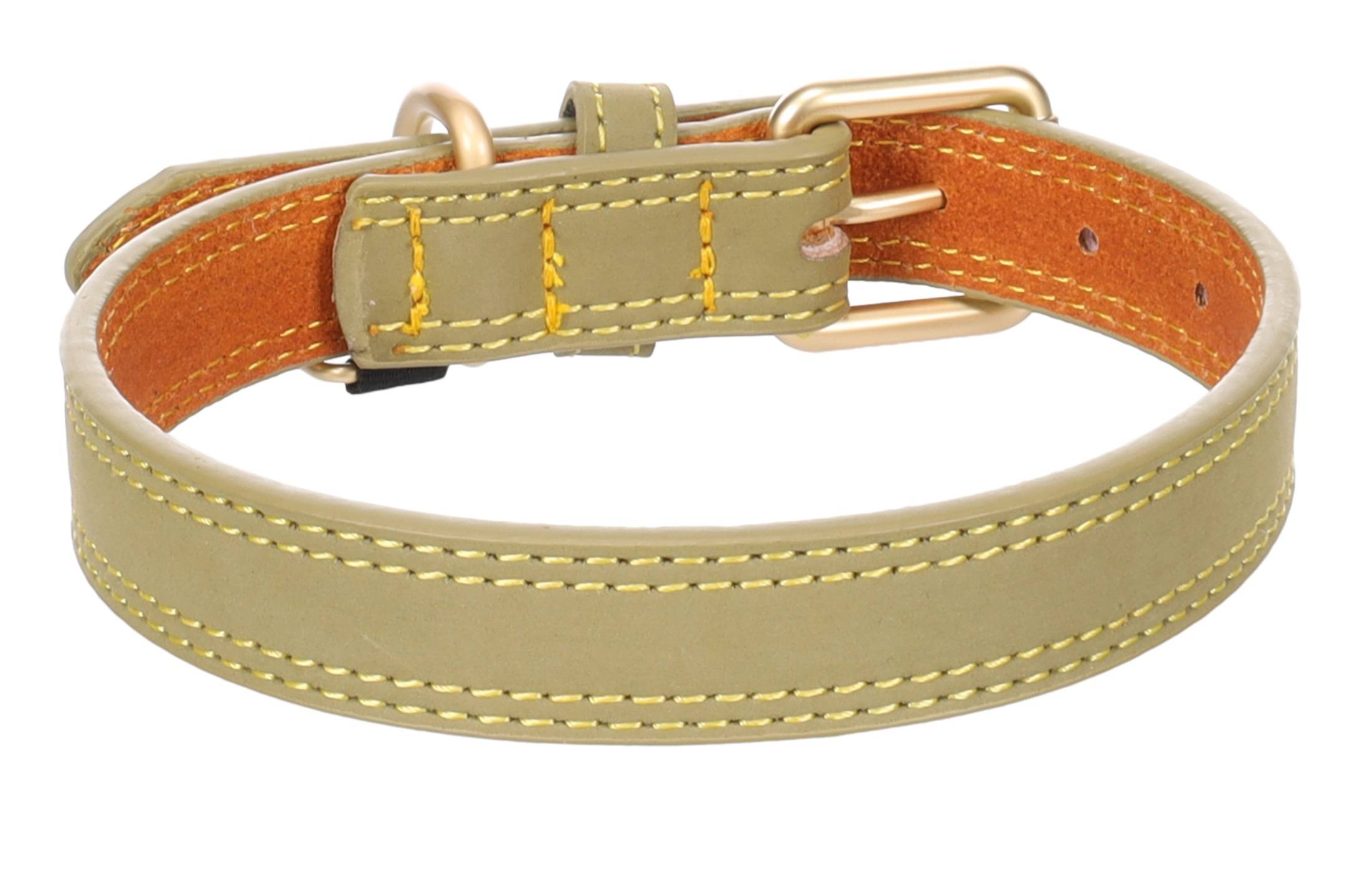 Eden - Collier pour chien Virginia en cuir L 43-53cm 25mm vert - Image 1