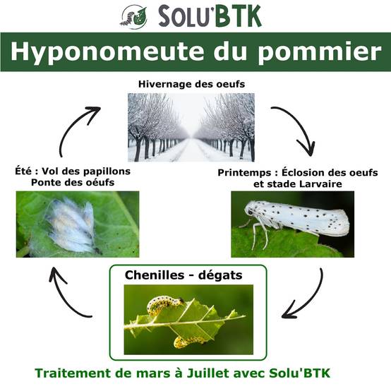 SoluBTK - Hyponomeute du Pommier - 30 g Bacillus thuringiensis BTK - Anti-chenilles Utilisable en Agriculture Biologique - Traitement chenilles - Image 2