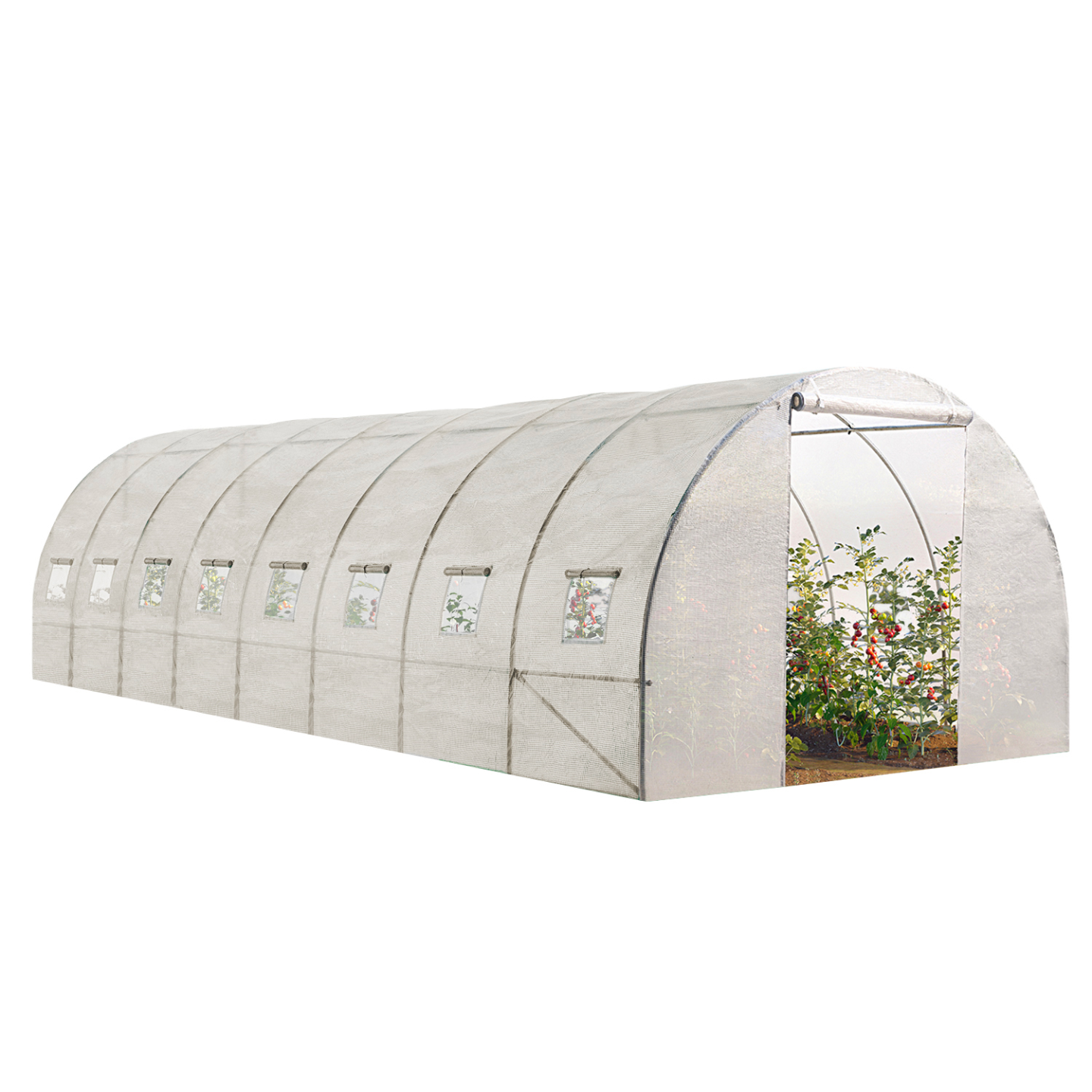 Serre tunnel de jardin 24M² blanche gamme maraîchère DES ANDES 8x3M - Image 2