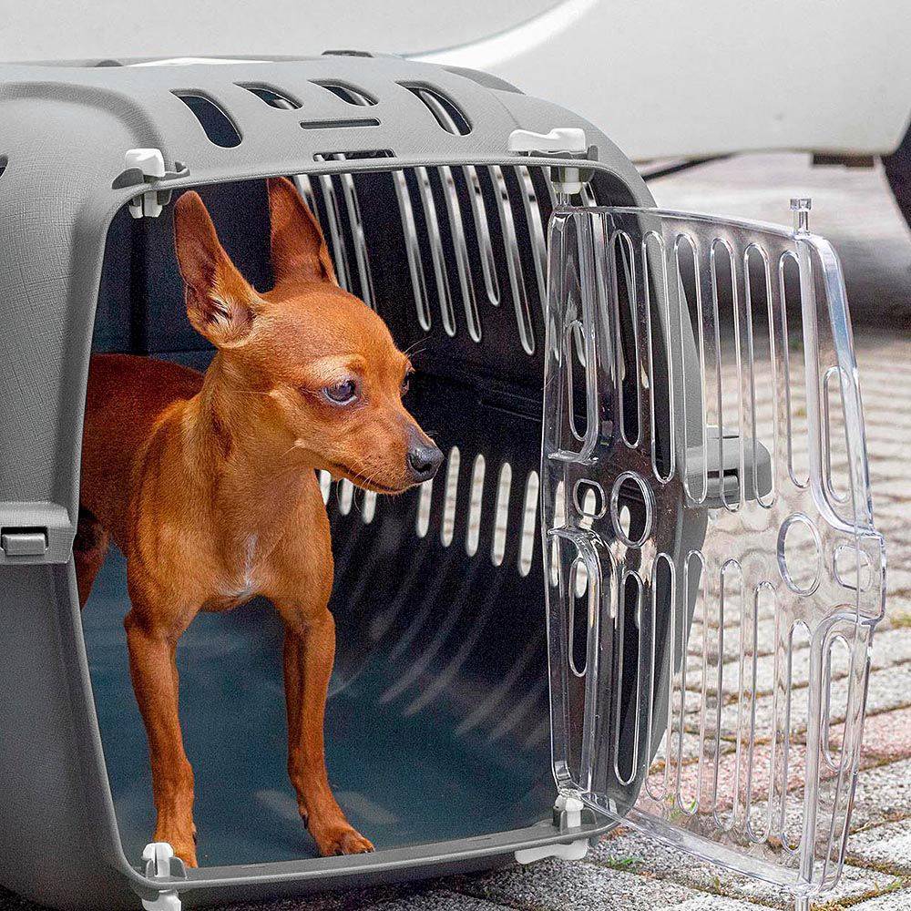 Ferplast - Ferplast Caisse de Transport Chat, Cage de Transport pour Chiens Petits et Chats jusqu'à 8 Kg, Porte Transparente Antichoc, Fentes d'aération, 37 x 57 - Image 3