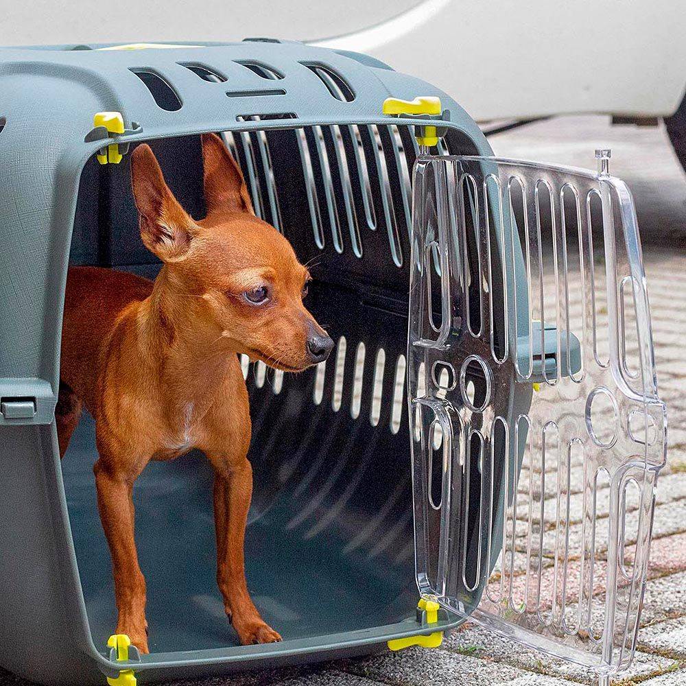 Ferplast - Ferplast Caisse de Transport Chat, Cage de Transport pour Chiens Petits et Chats jusqu'à 8 Kg, Porte Transparente Antichoc, Fentes d'aération, 37 x 57 - Image 4