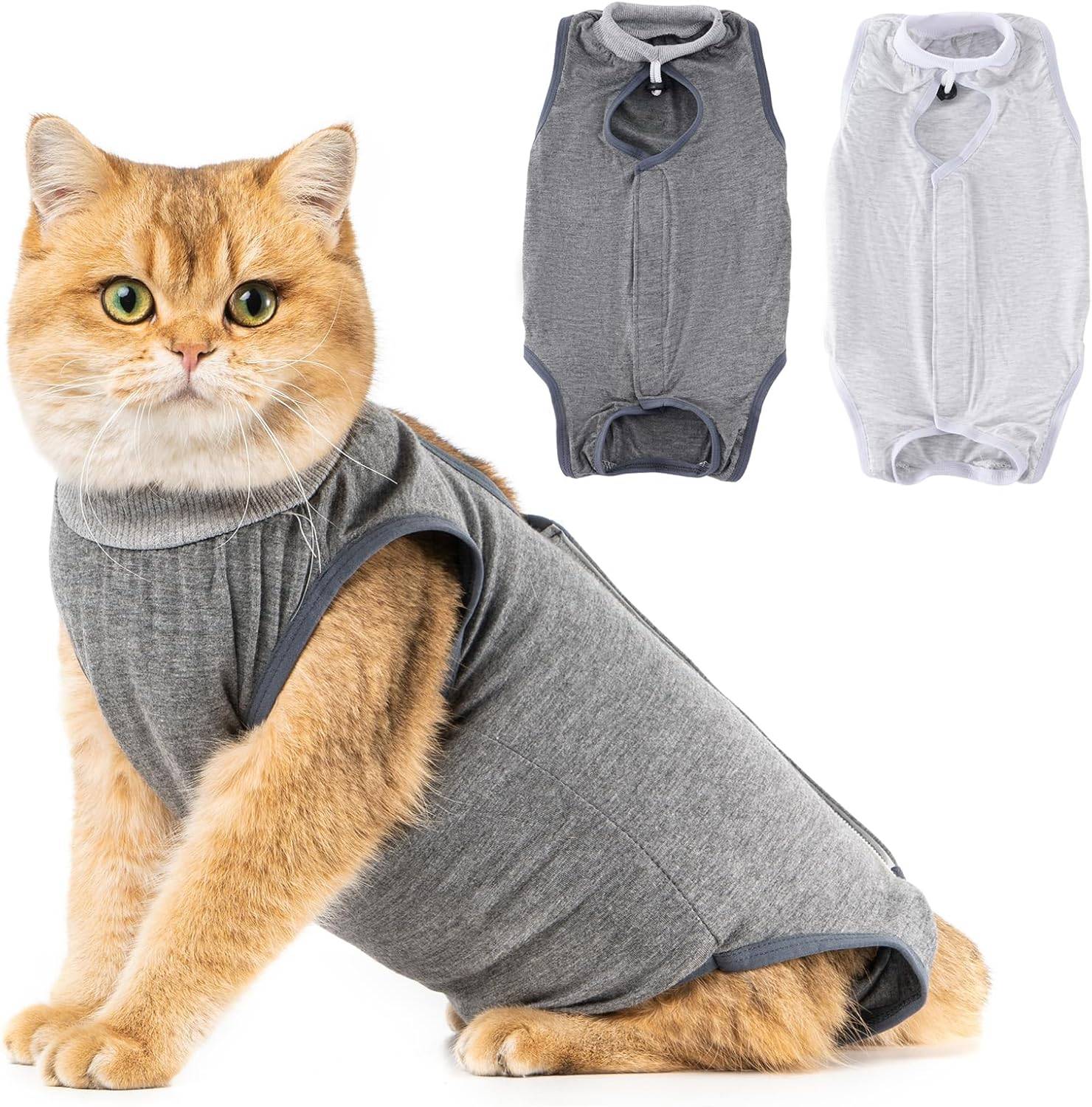 Combinaison de Récupération pour Chat Anti Léchage Gris/Gris foncé L
