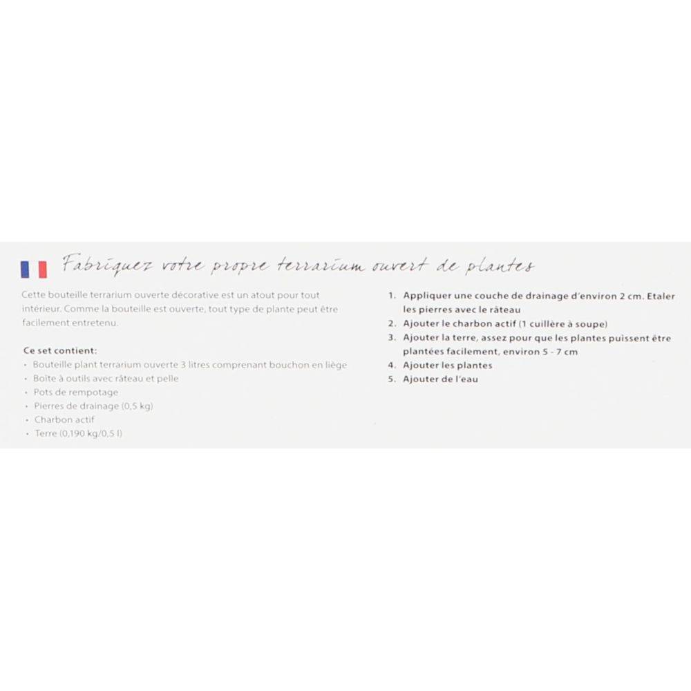 Esschert Design - Esschert Design - Terrarium végétal à faire soi même 3 litres - Image 4