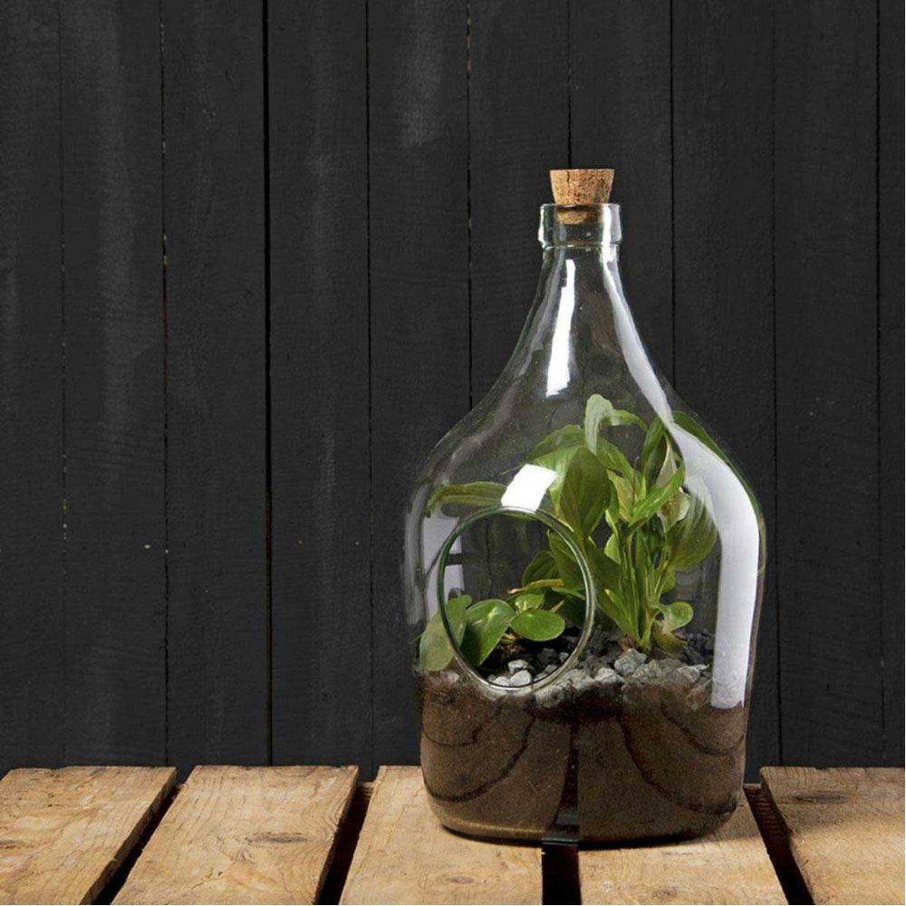 Esschert Design - Esschert Design - Terrarium végétal à faire soi même 3 litres - Image 2