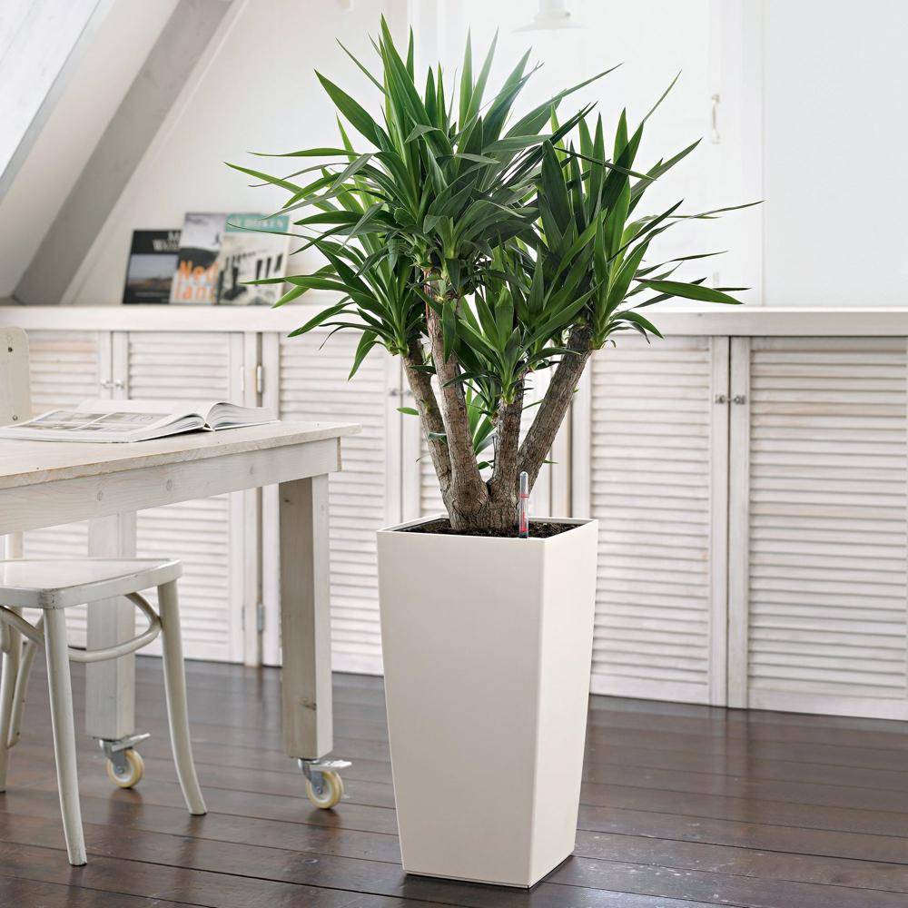 Lechuza - POT CUBICO COLOR  BLANC D30CM - Image 6