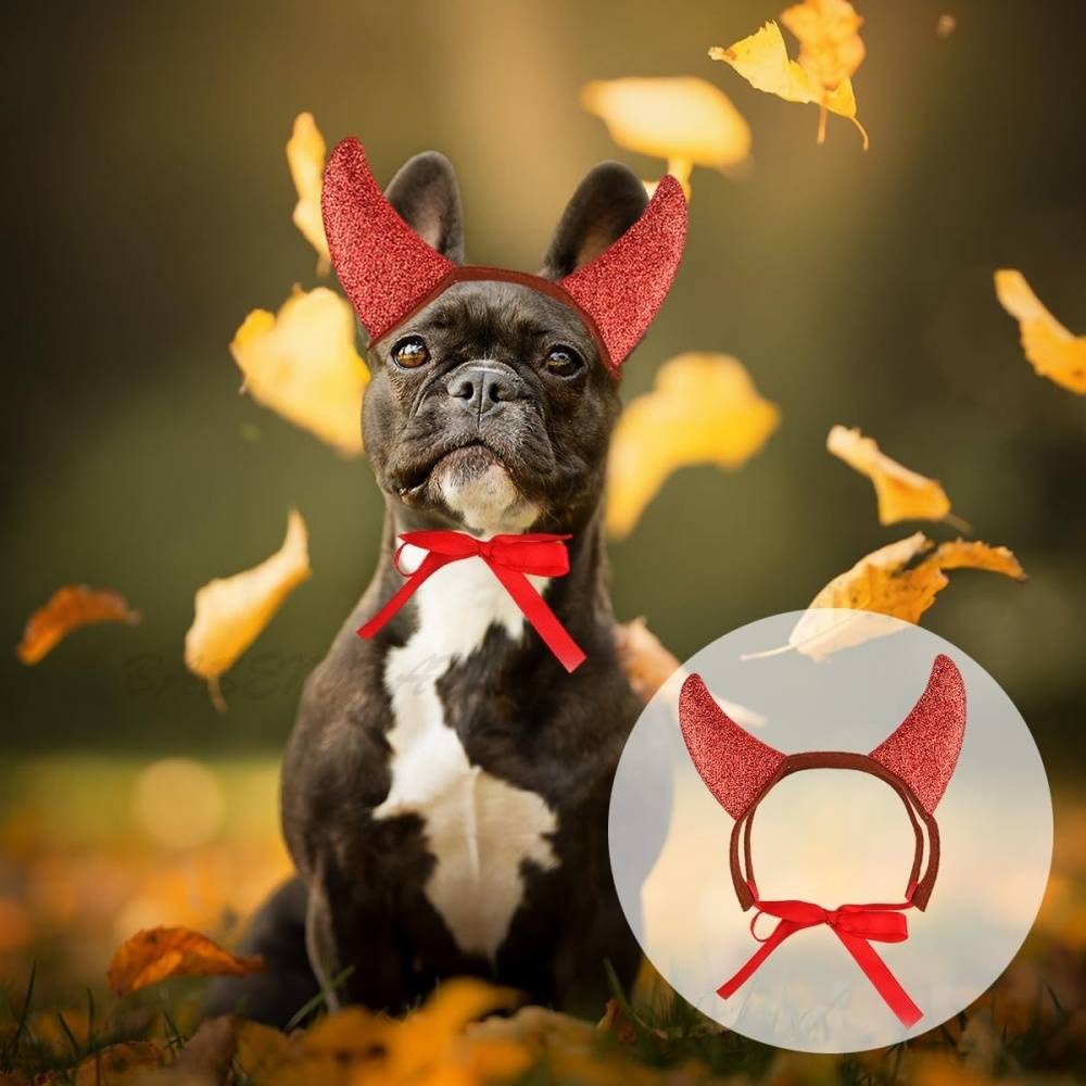 DtopbuyAge - Costume d'Halloween pour animal de compagnie DtopbuyAge - Image 4