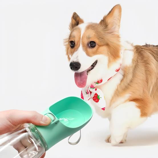 IntiMeg - Bouteille d’Eau Portable pour Chien (550ml)- IntiMeg - Image 5