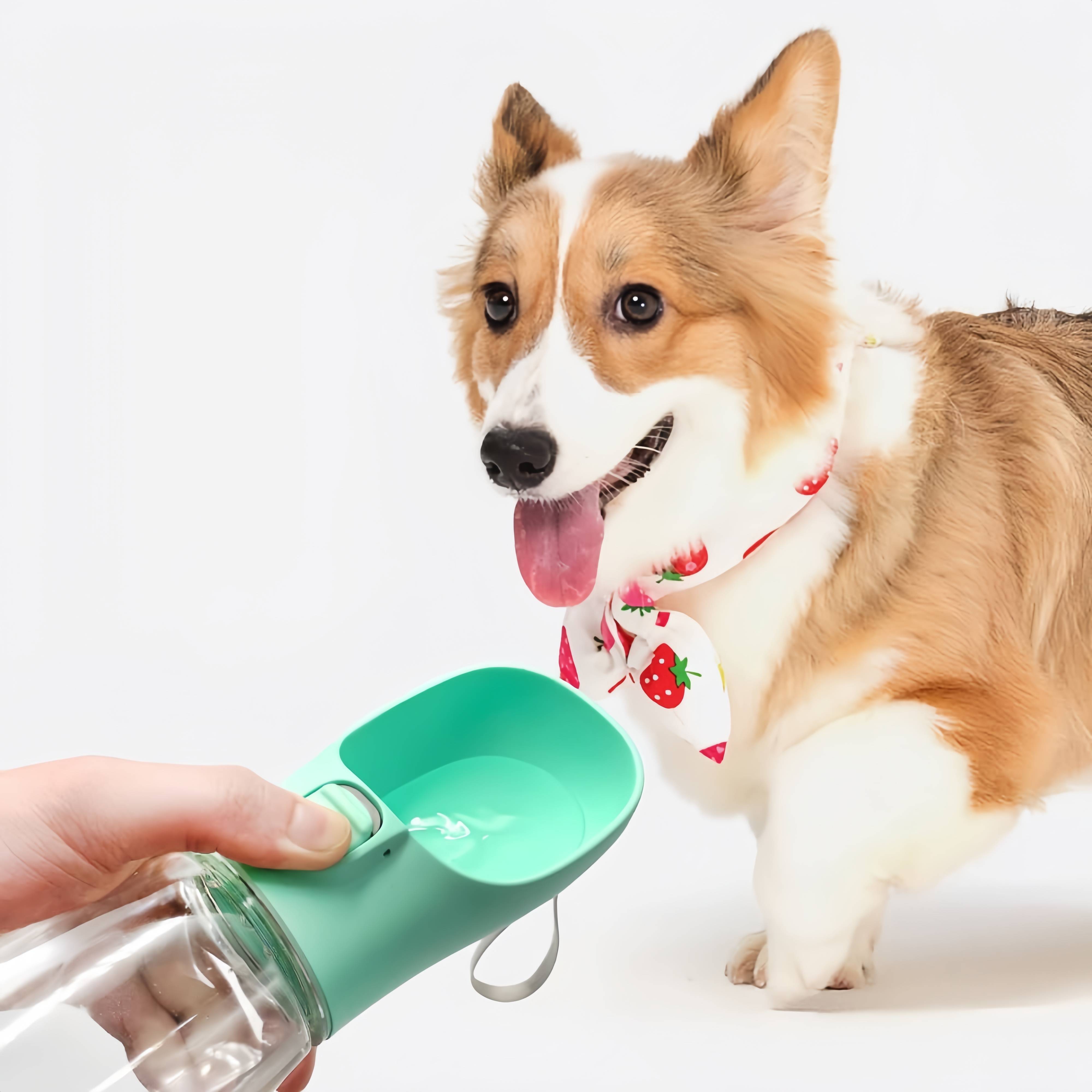 IntiMeg - Bouteille d’Eau Portable pour Chien (550ml)- IntiMeg - Image 5