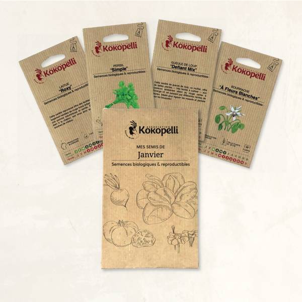 Mes semis de janvier - 4 sachets de graines bio à semer- Association Kokopelli - Image 2