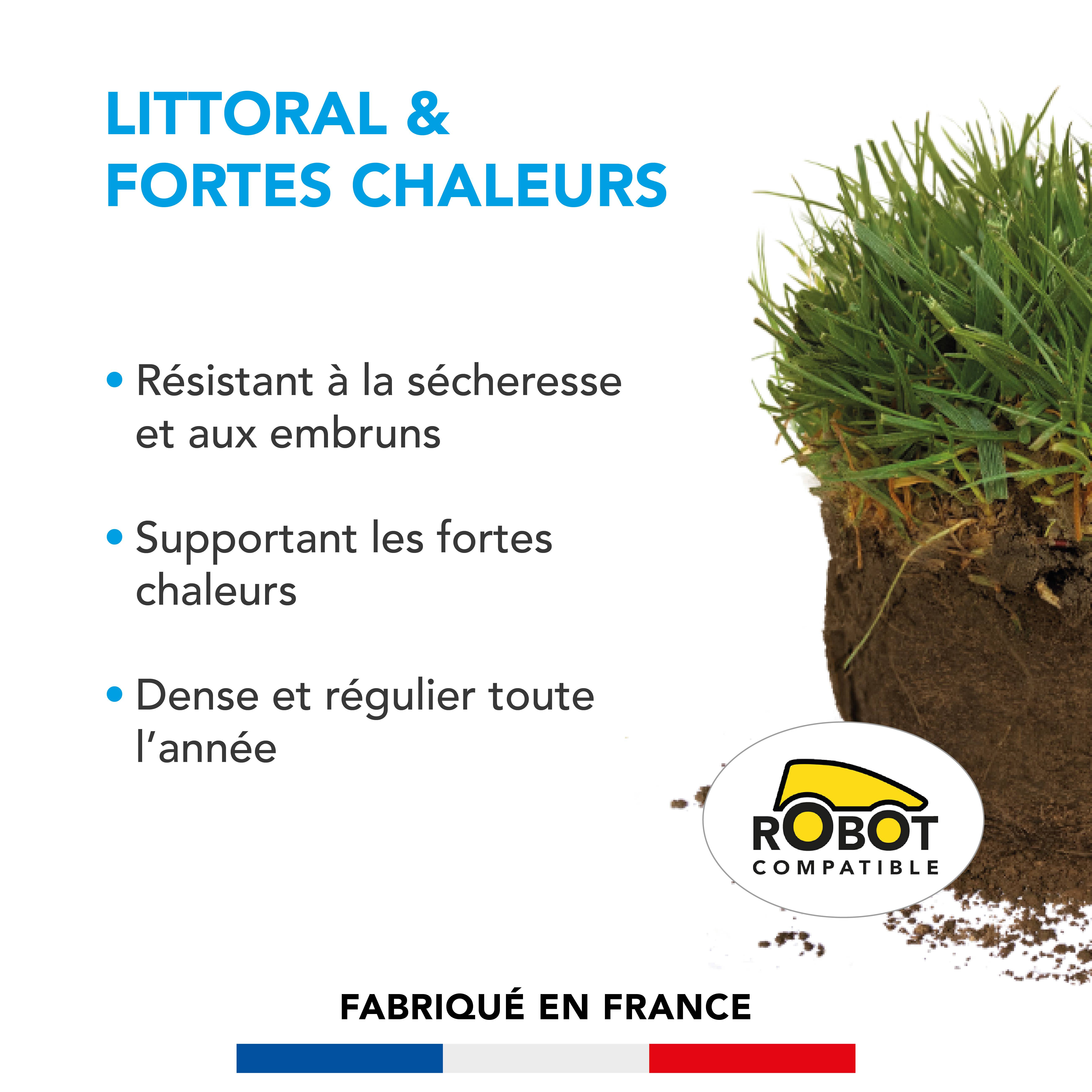 Gazon Littoral & Fortes chaleurs - Résistant Sécheresse et Embruns - Supportant Fortes Chaleurs - Dense et Régulier Toute l'Année - 5KG - BARENBRUG - Image 2