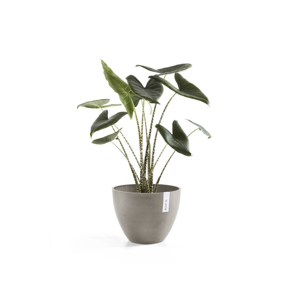 Ecopots - Pot Rond Antwerp 50 New Taupe - Ø 50 x H. 37,5 cm - 52 L ECOPOTS - Image 3