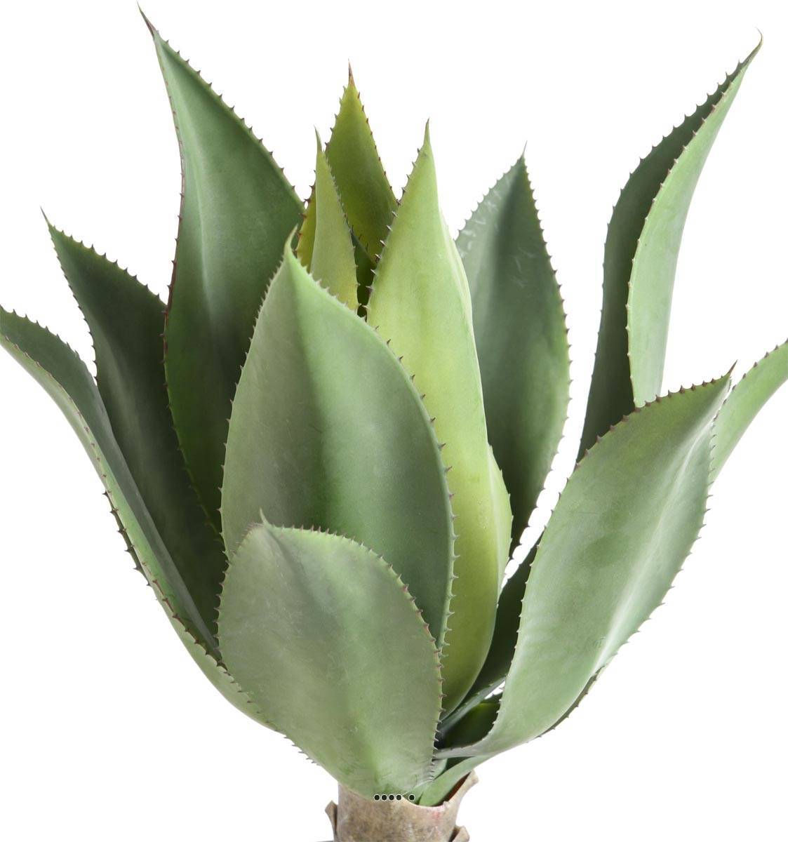 Artificielles - Agave, Aloé vera, artificielle en piquet H 60 cm Vert - dimhaut: H 60 cm - couleur: Vert - Image 2
