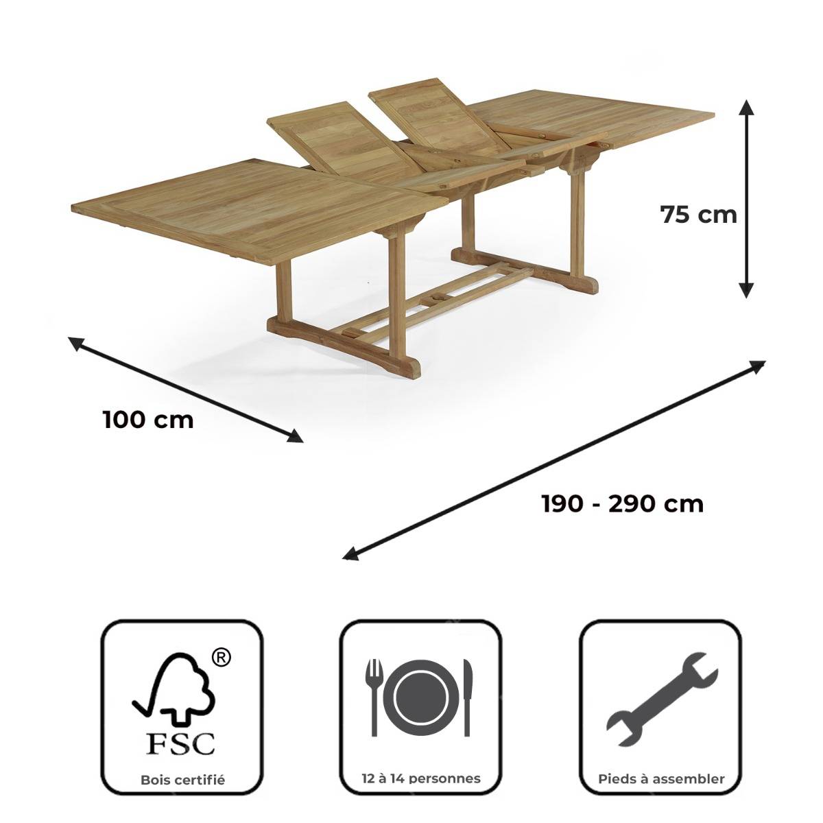 Teck'Attitude - Table extensible rectangulaire teck massif 12 places Sydney - TECK'Attitude - Image 9