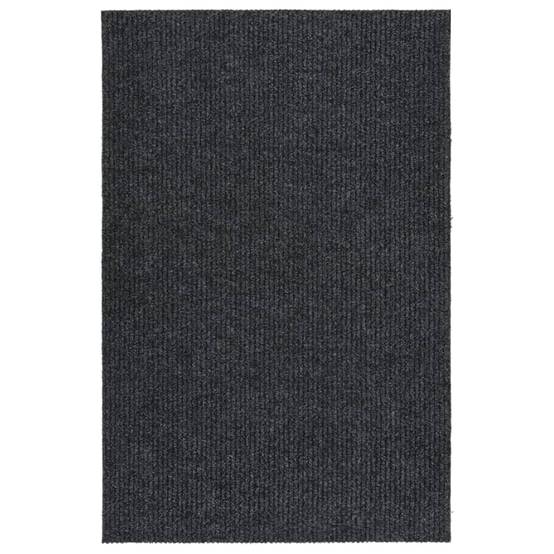 Tapis Paillasson d'Entrée Anti-salissures Antidérapant pour Usage Commercial ou Privé Anthracite 100x150 cm – ComfortXL Outdoor Living - Image 1