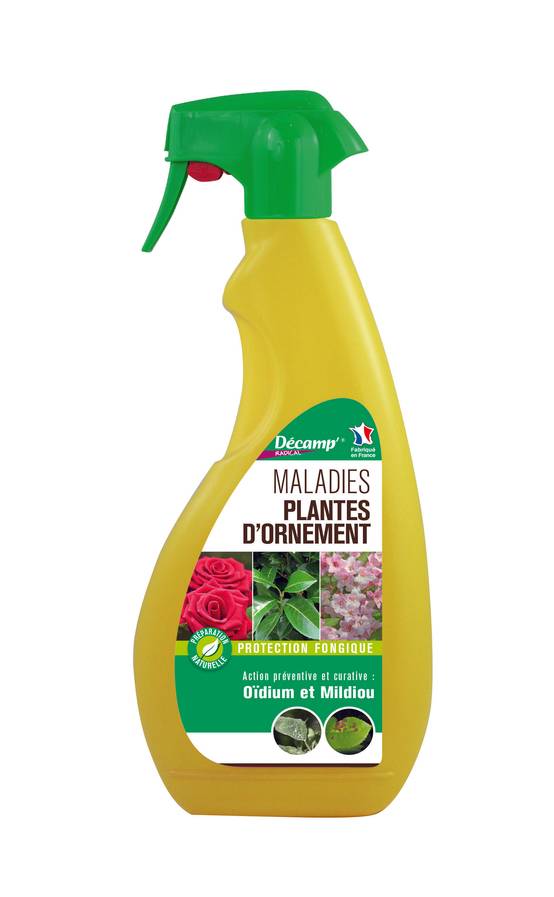 PLANTES D'ORNEMENT