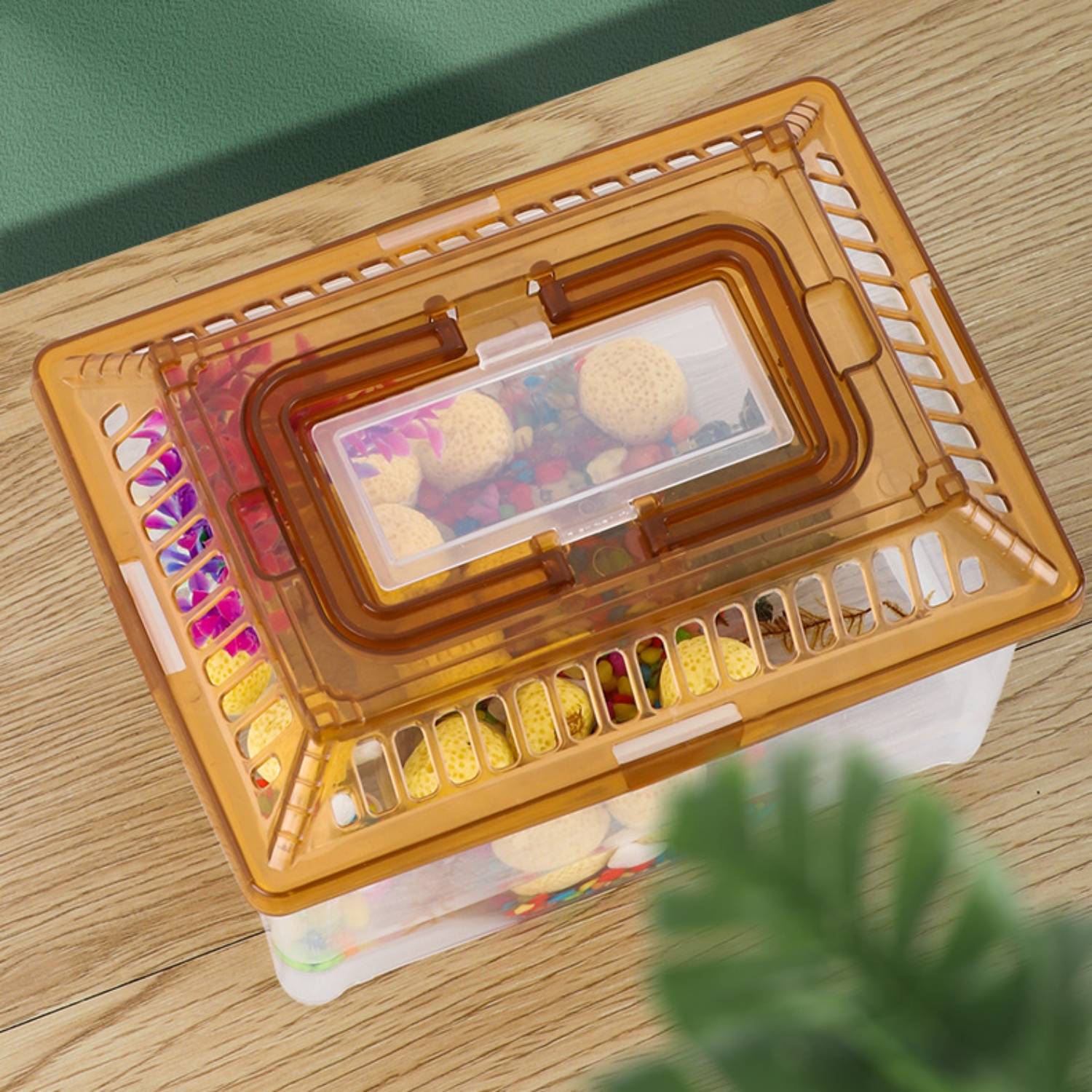 Aquarium Transparent pour Tortue avec Plateforme et Couvercle DtopbuyAge - Image 4