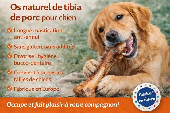 Friandises chien Nature Os de tibia de porc avec de la viande - Image 5