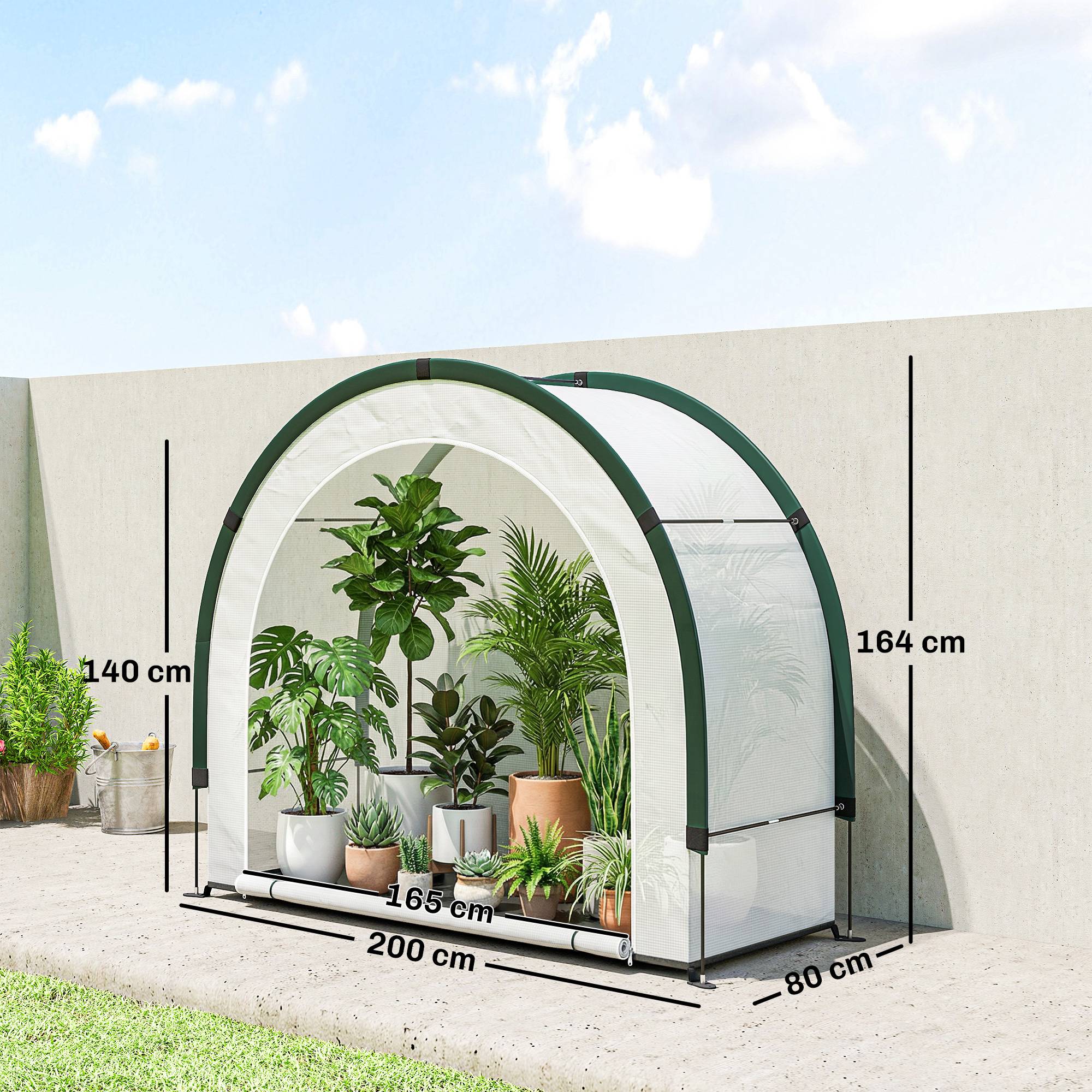 Serre de jardin pliable en PE et fibre de verre vert 200 x 80 x 164 cm - PANGIVO - Image 5