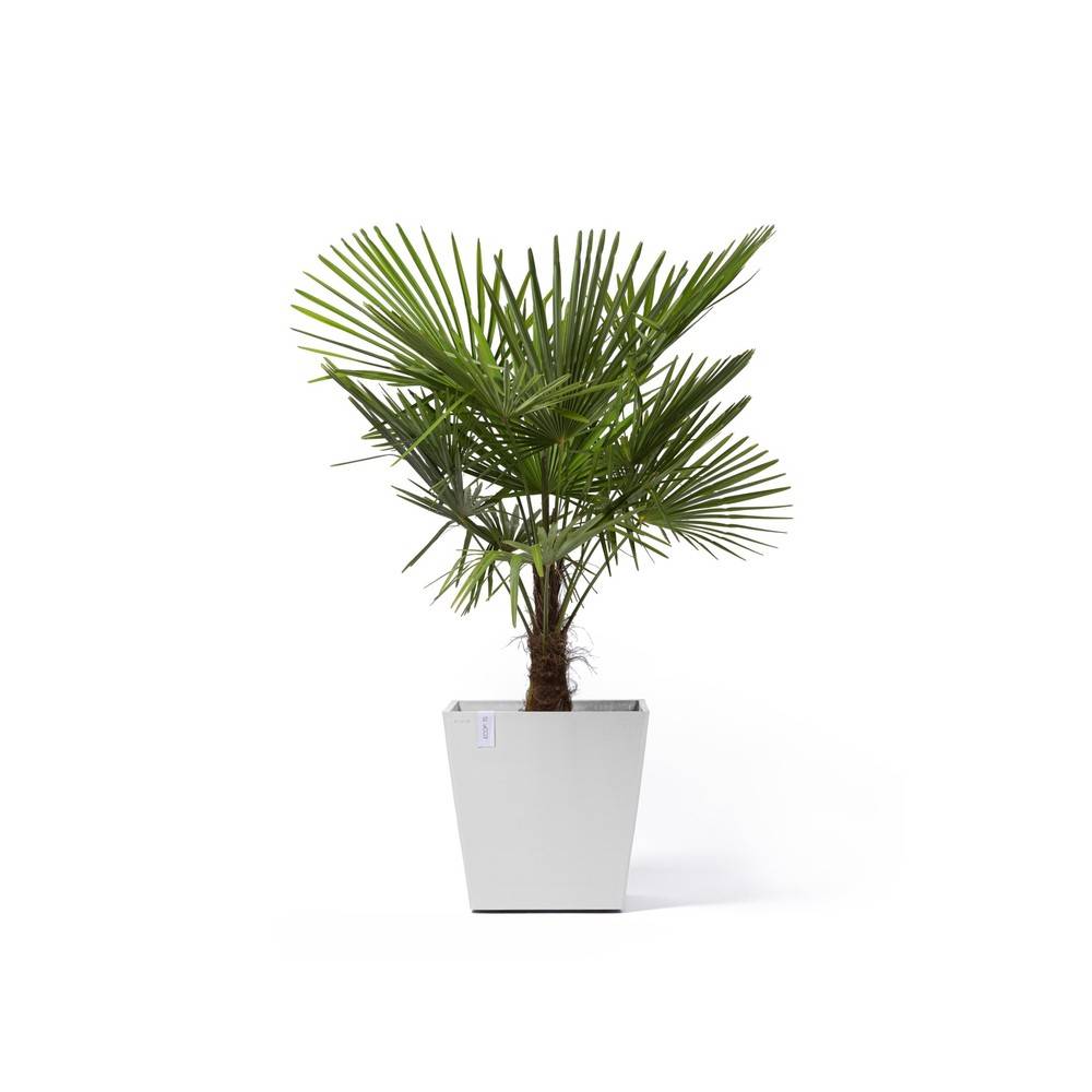 Ecopots - Pot Rotterdam à roulette 50 Pure White ECOPOTS - Image 3