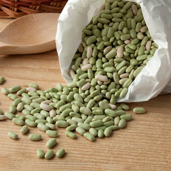 Haricot nain à écosser Flageolet Chevrier vert Flagrano le sachet de 300 graines environ (90g)