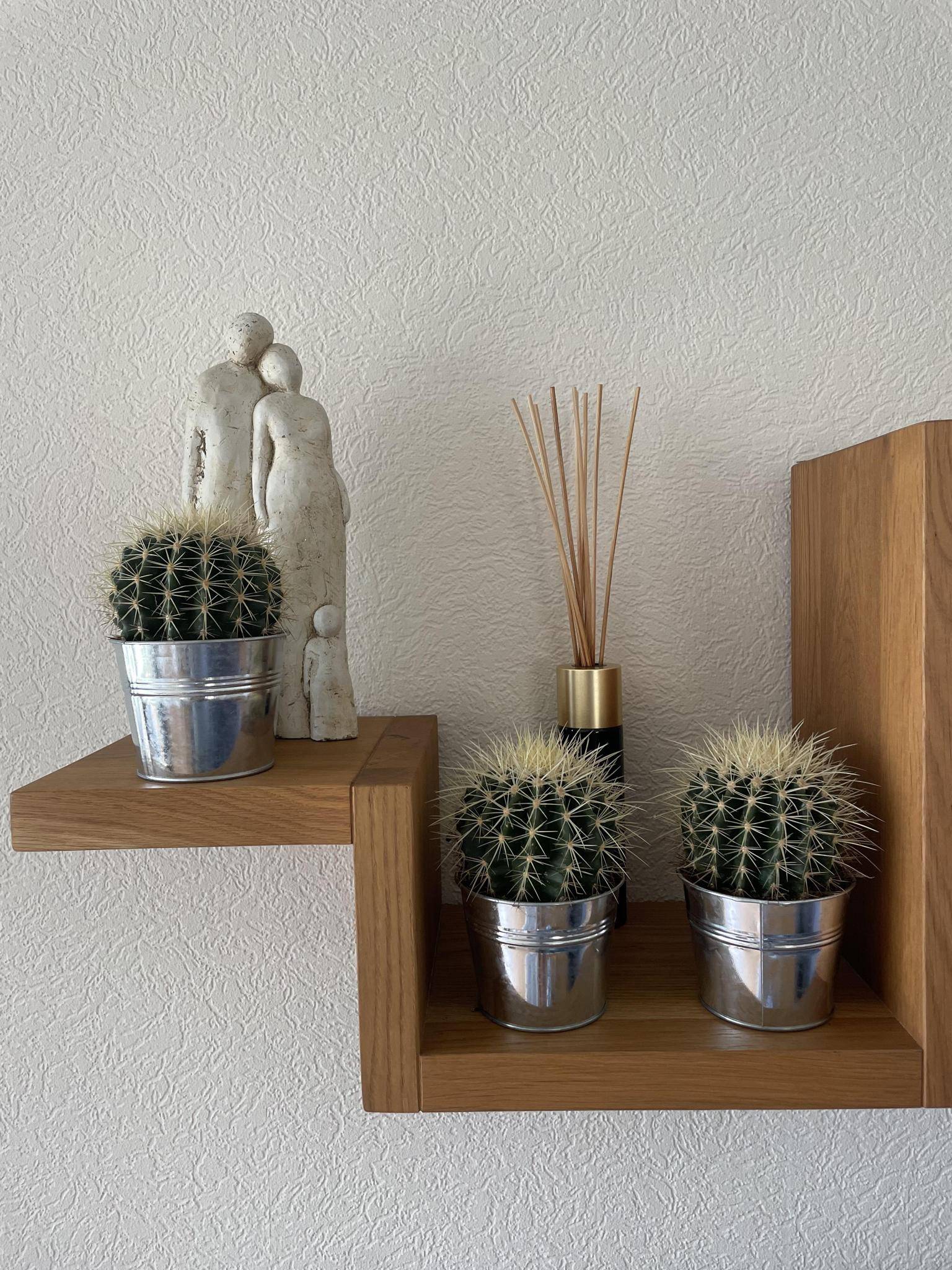 Trio de Cactus Echinocactus Grusonii en Pot de Zinc- La Green Touch - Image 3