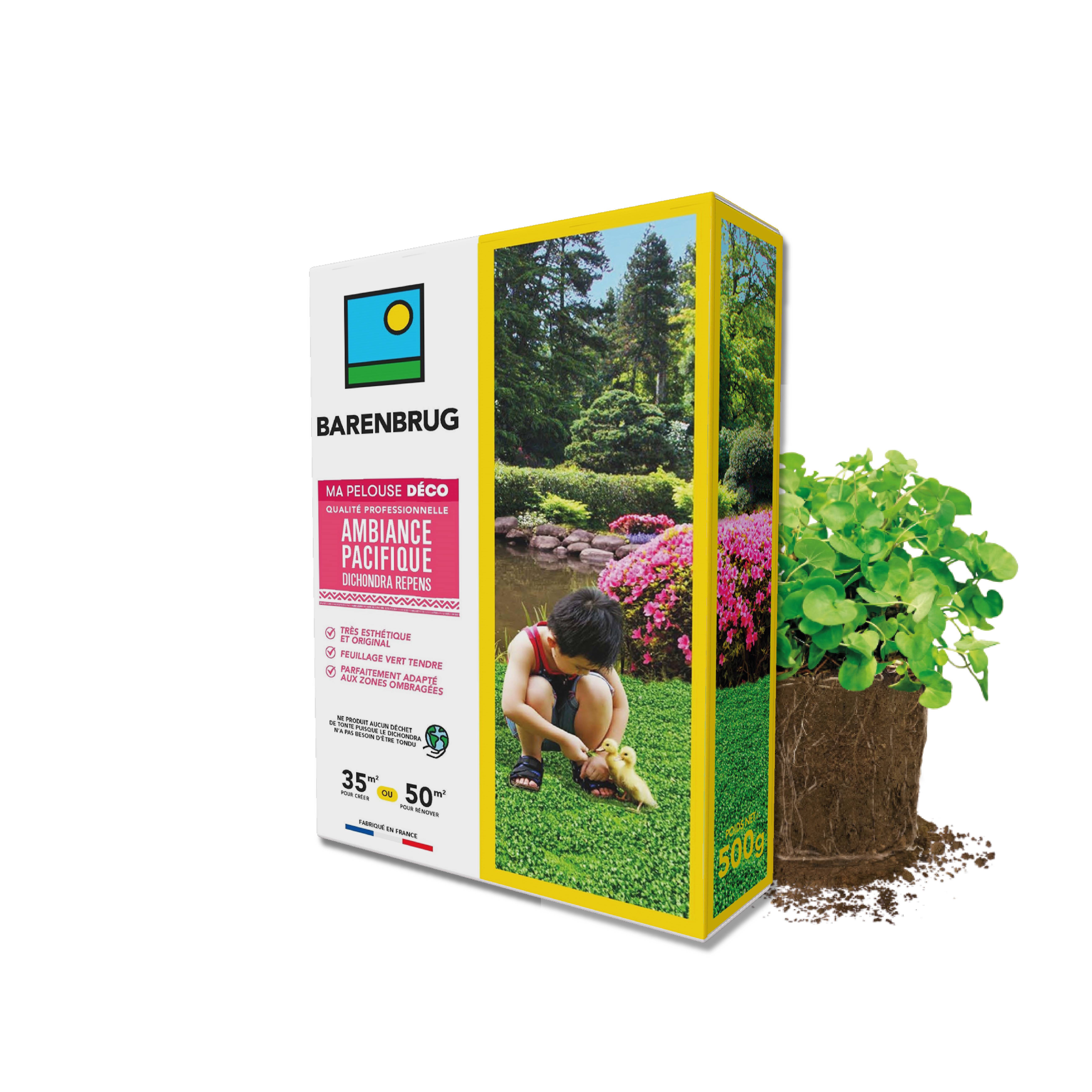 Barenbrug - Pelouse Ambiance Pacifique - Dichondra - Très Esthétique et Original - Feuillage Vert Tendre - Parfaitement Adapté Zones Ombragées - 500G - BARENBRUG - Image 1