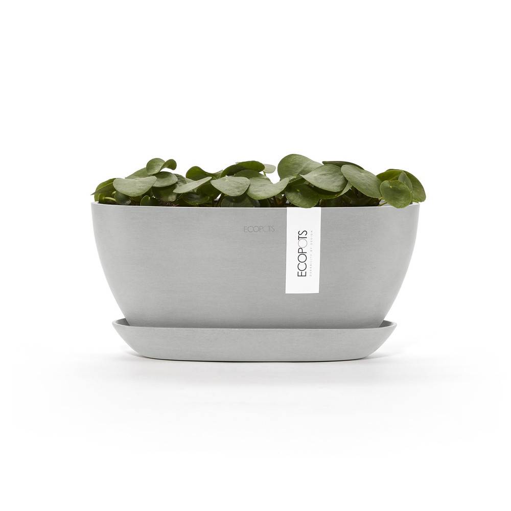 Ecopots - Pot Ovale Sofia 30 + Soucoupe - 30 x 13 x H. 13,9 cm - 2,7 L ECOPOTS - Image 3